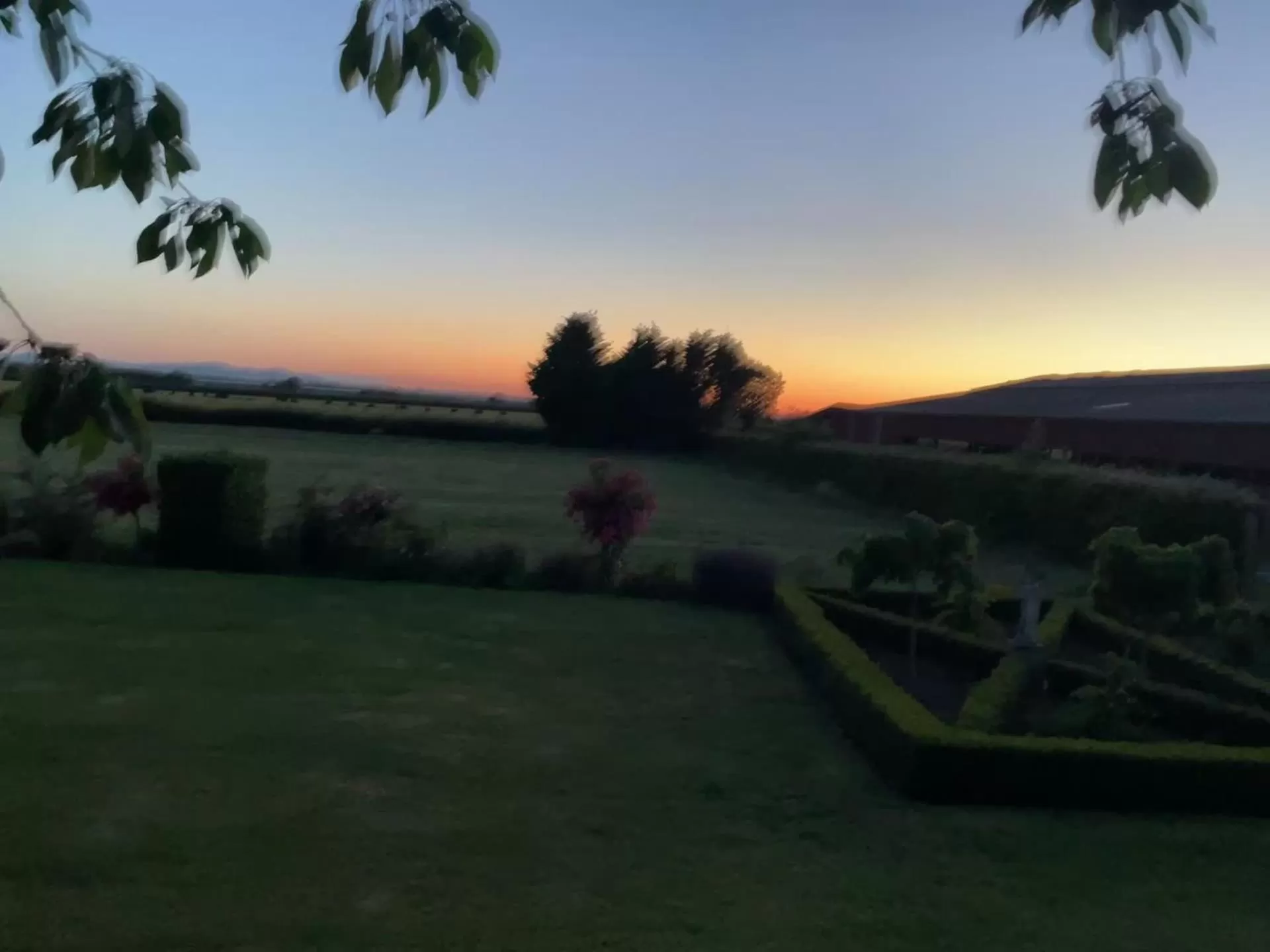 Spring in NIGHTINGALE B&B