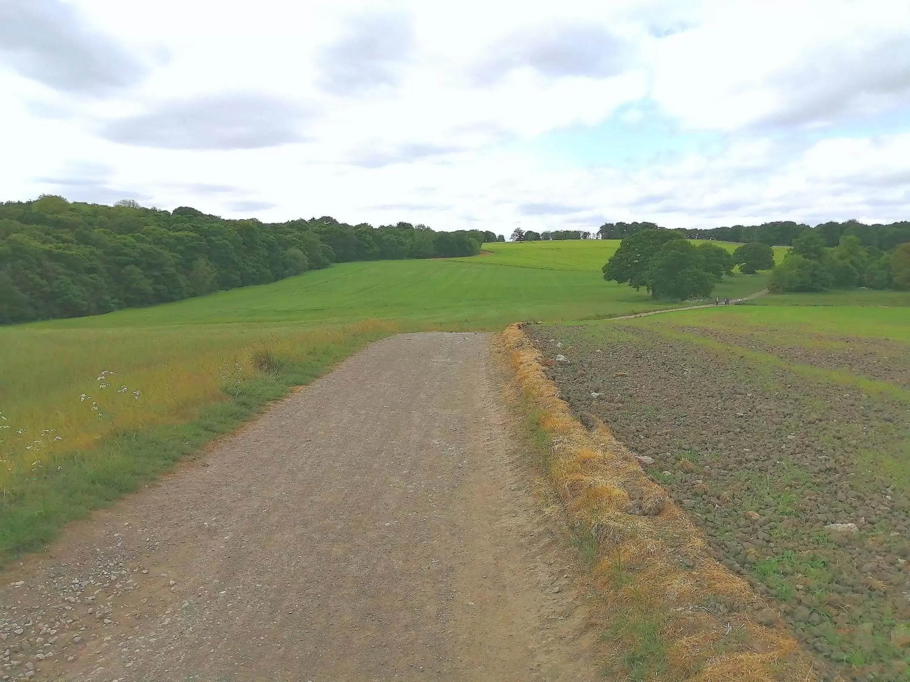 Natural landscape in Wortley Hall Sheffield