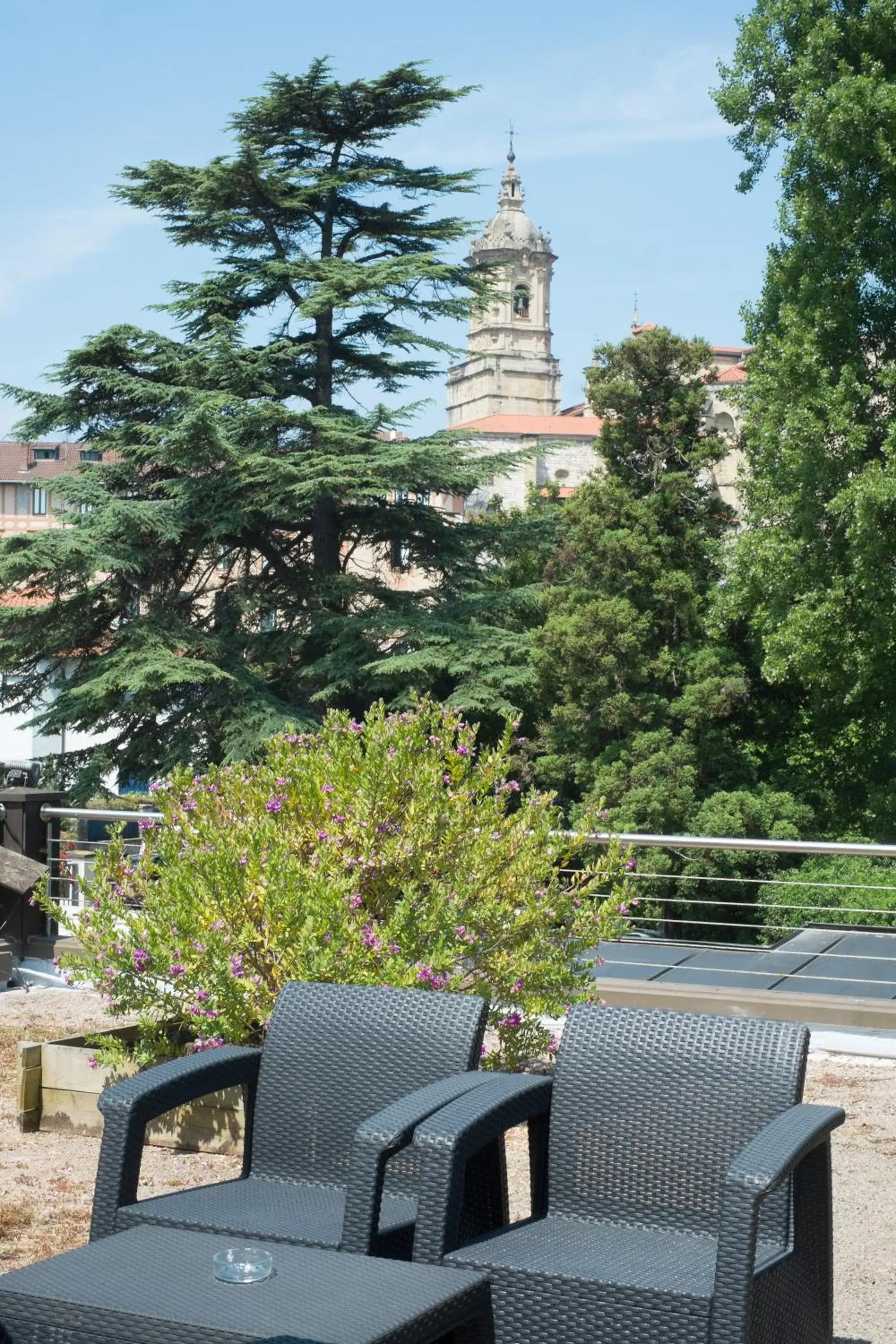 Balcony/Terrace in Hotel Rio Bidasoa