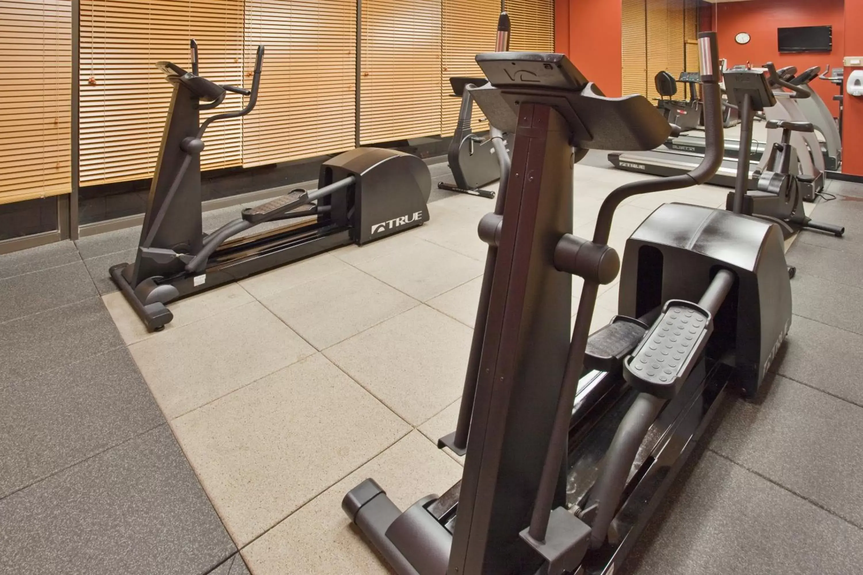 Spa and wellness centre/facilities, Fitness Center/Facilities in Holiday Inn Binghamton-Downtown Hawley Street, an IHG Hotel