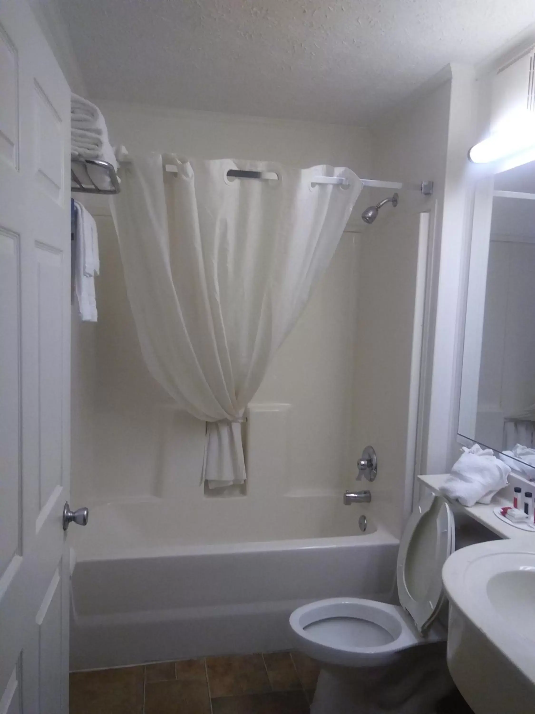 Shower, Bathroom in Microtel Inn by Wyndham Athens