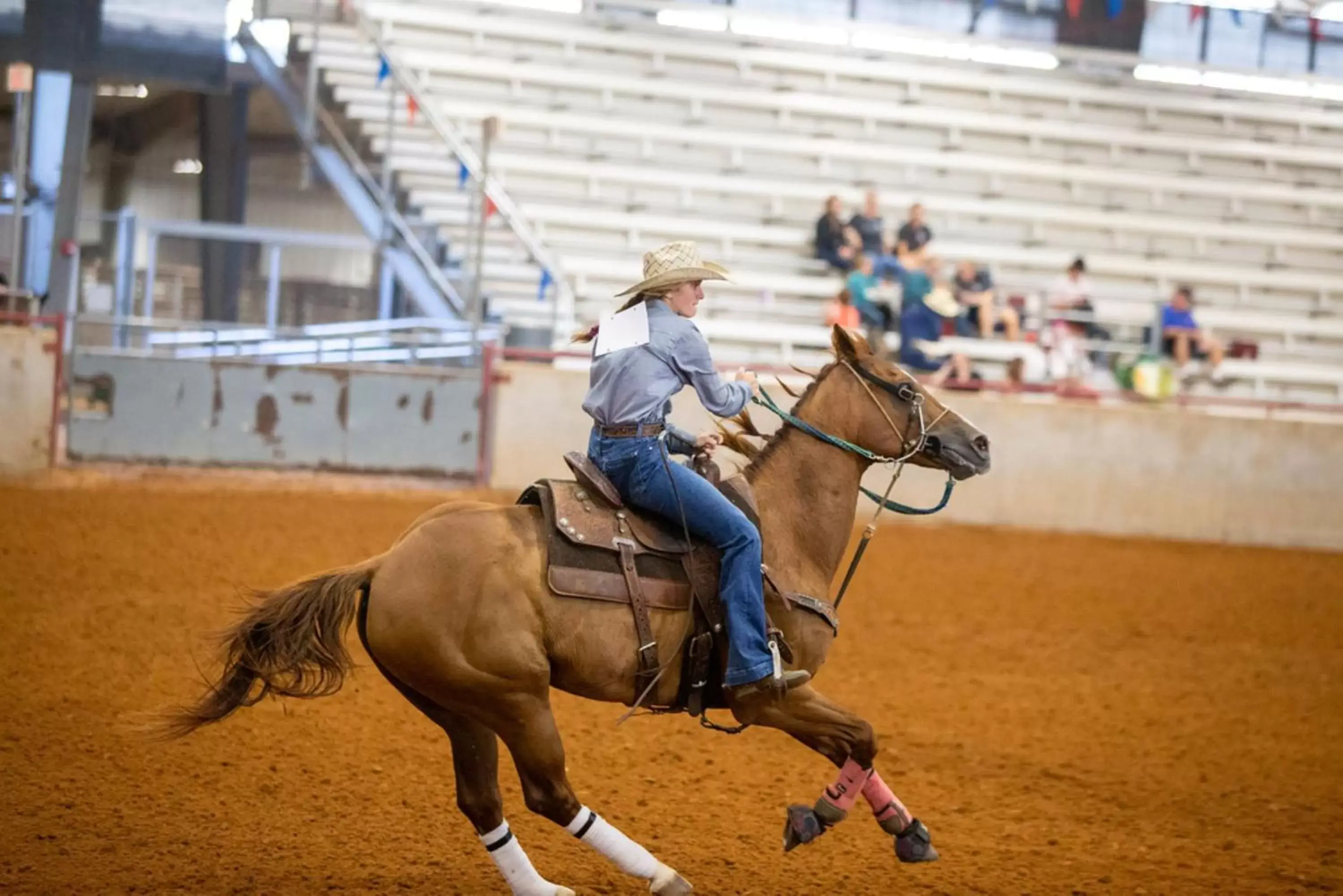 Area and facilities, Horseback Riding in Holiday Inn Express & Suites College Station, an IHG Hotel