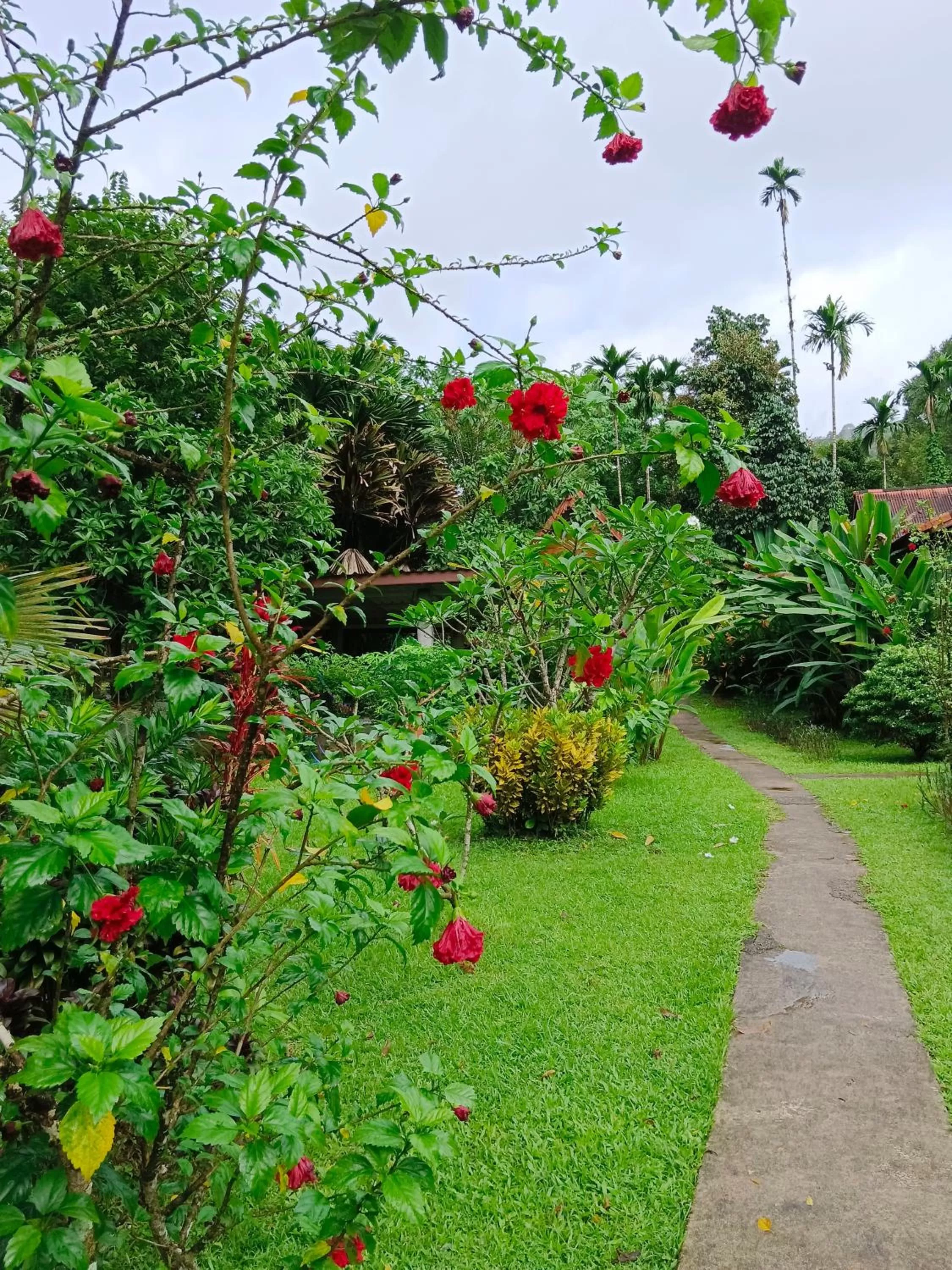 Khao Sok River & Jungle Resort