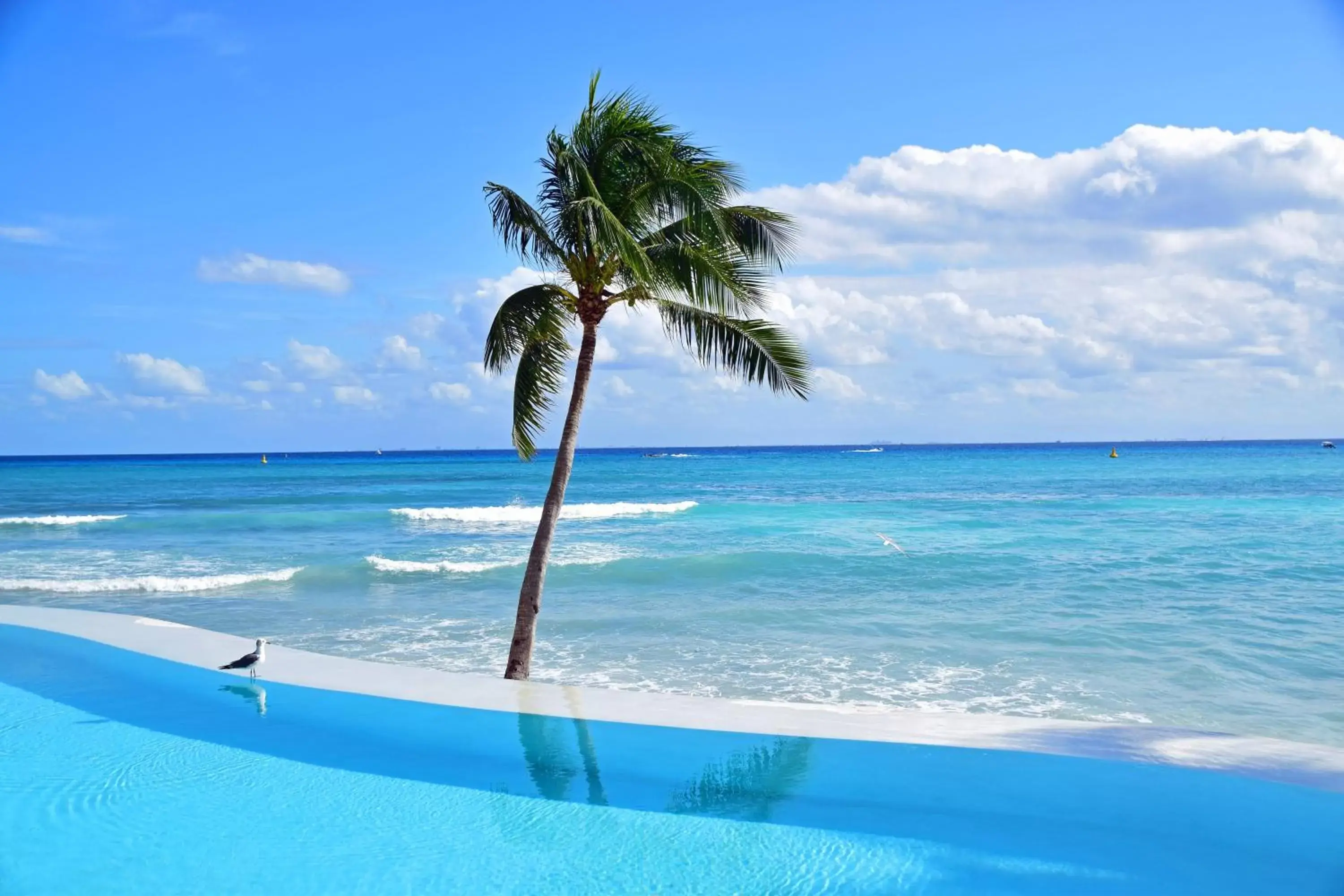 Sea view, Beach in Mahekal Beach Front Resort & Spa