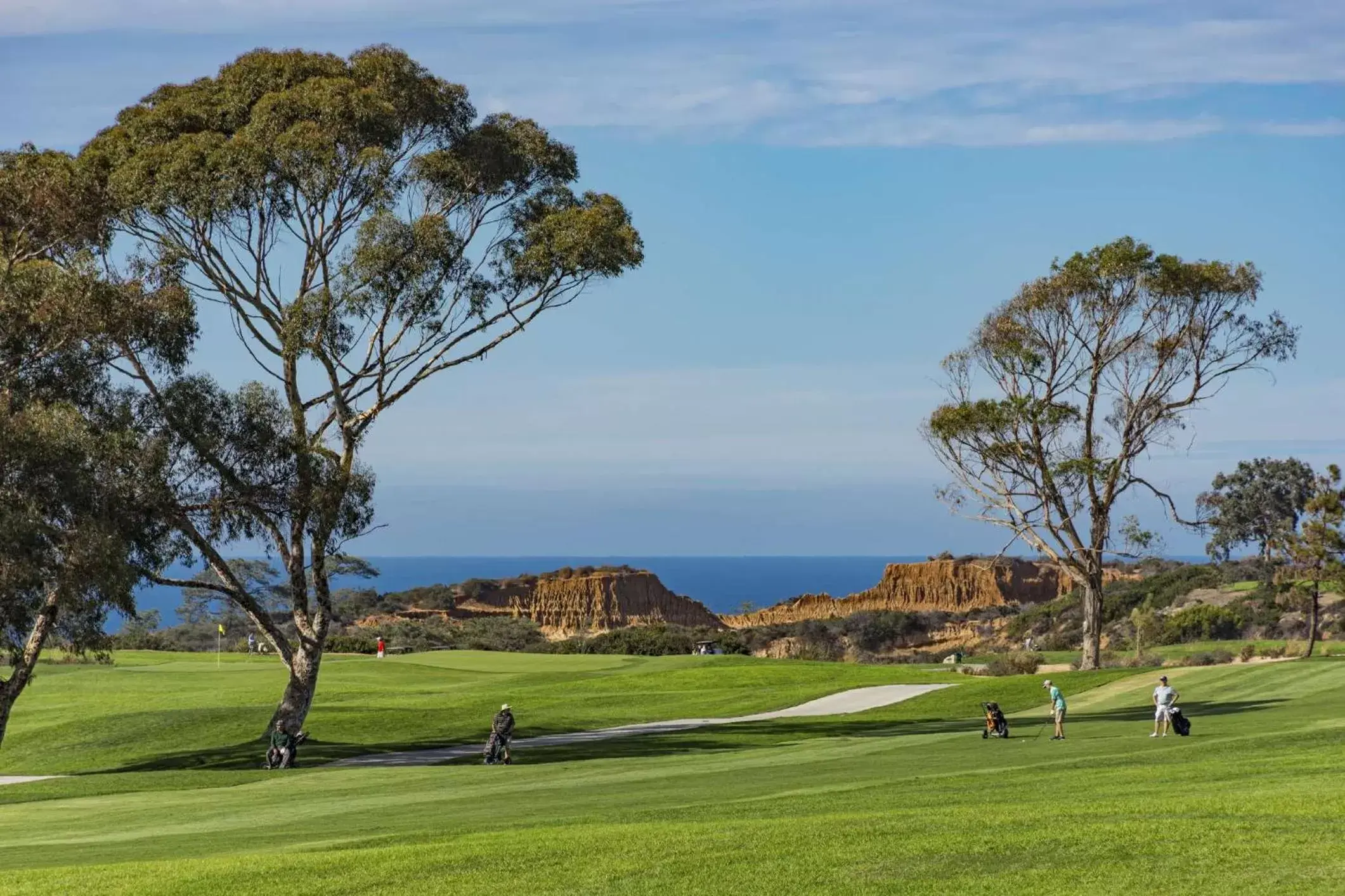 Golfcourse, Golf in Hilton La Jolla Torrey Pines