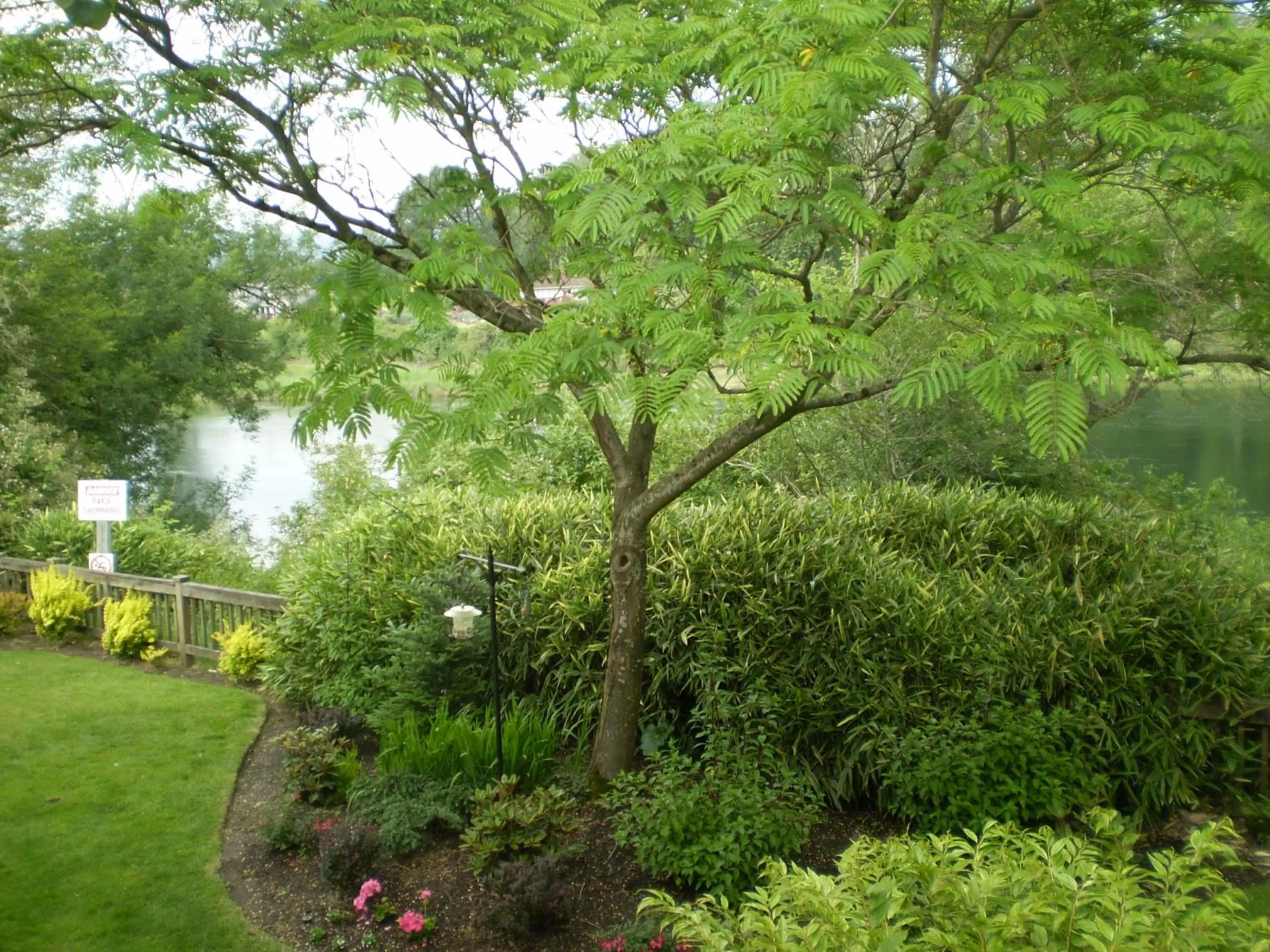 Other in Lewis River Inn