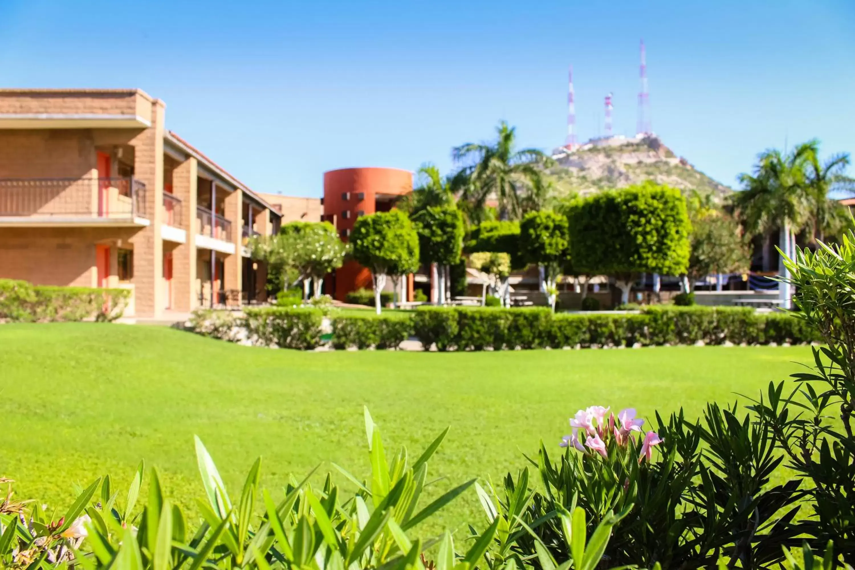 Garden, Property Building in Hotel Colonial Hermosillo