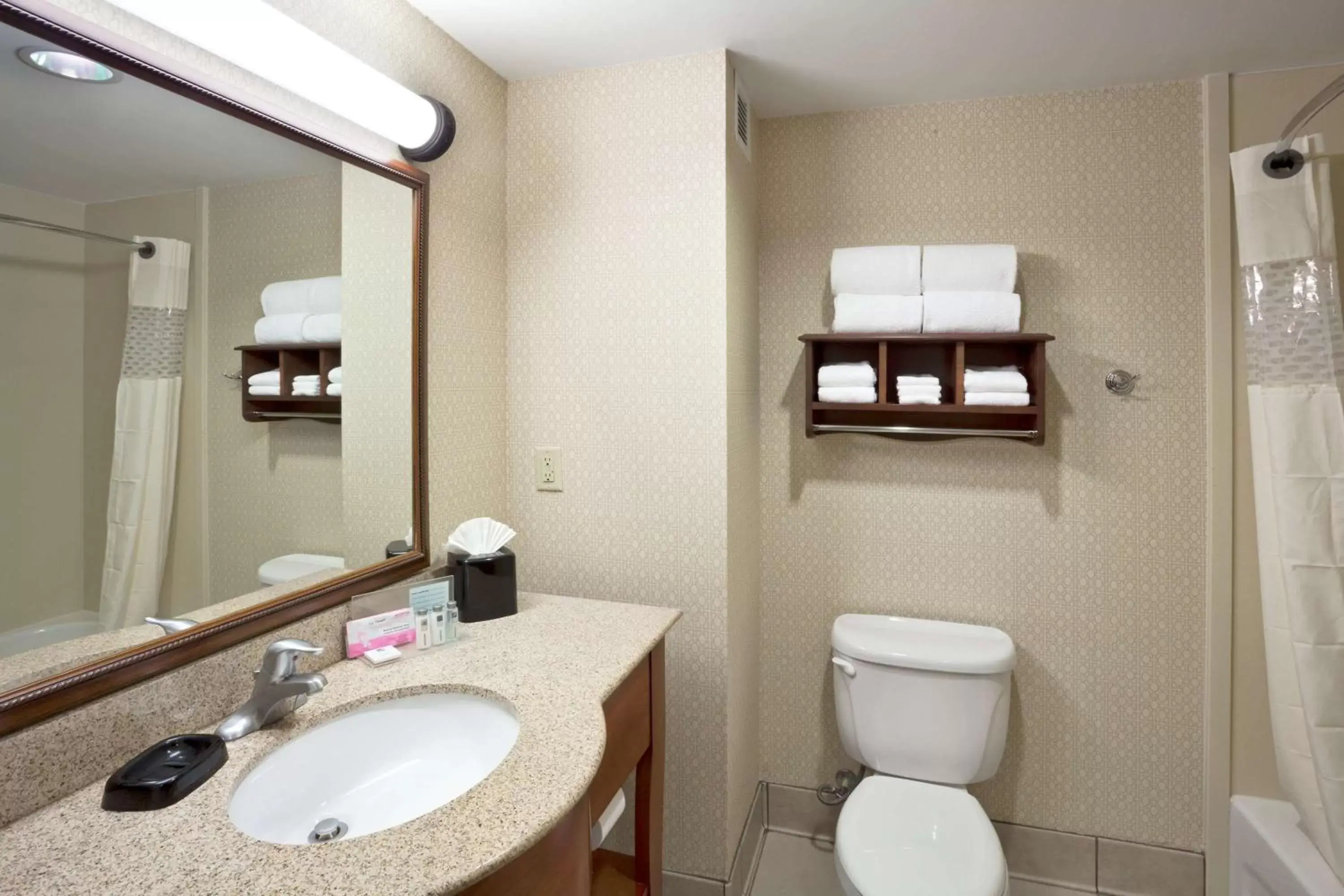 Bathroom in Hampton Inn & Suites Dallas-Allen