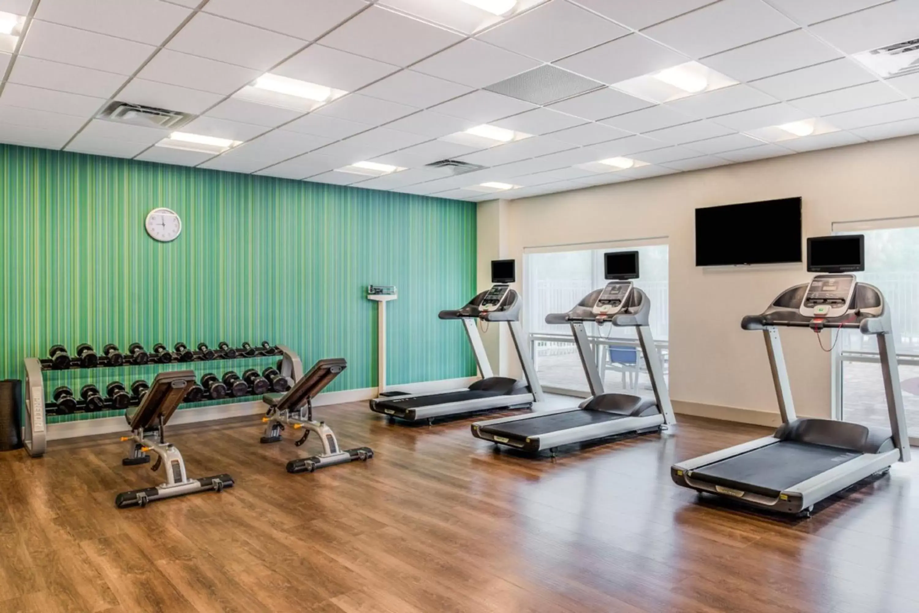 Fitness centre/facilities, Fitness Center/Facilities in Holiday Inn Express & Suites - Tampa North - Wesley Chapel, an IHG Hotel