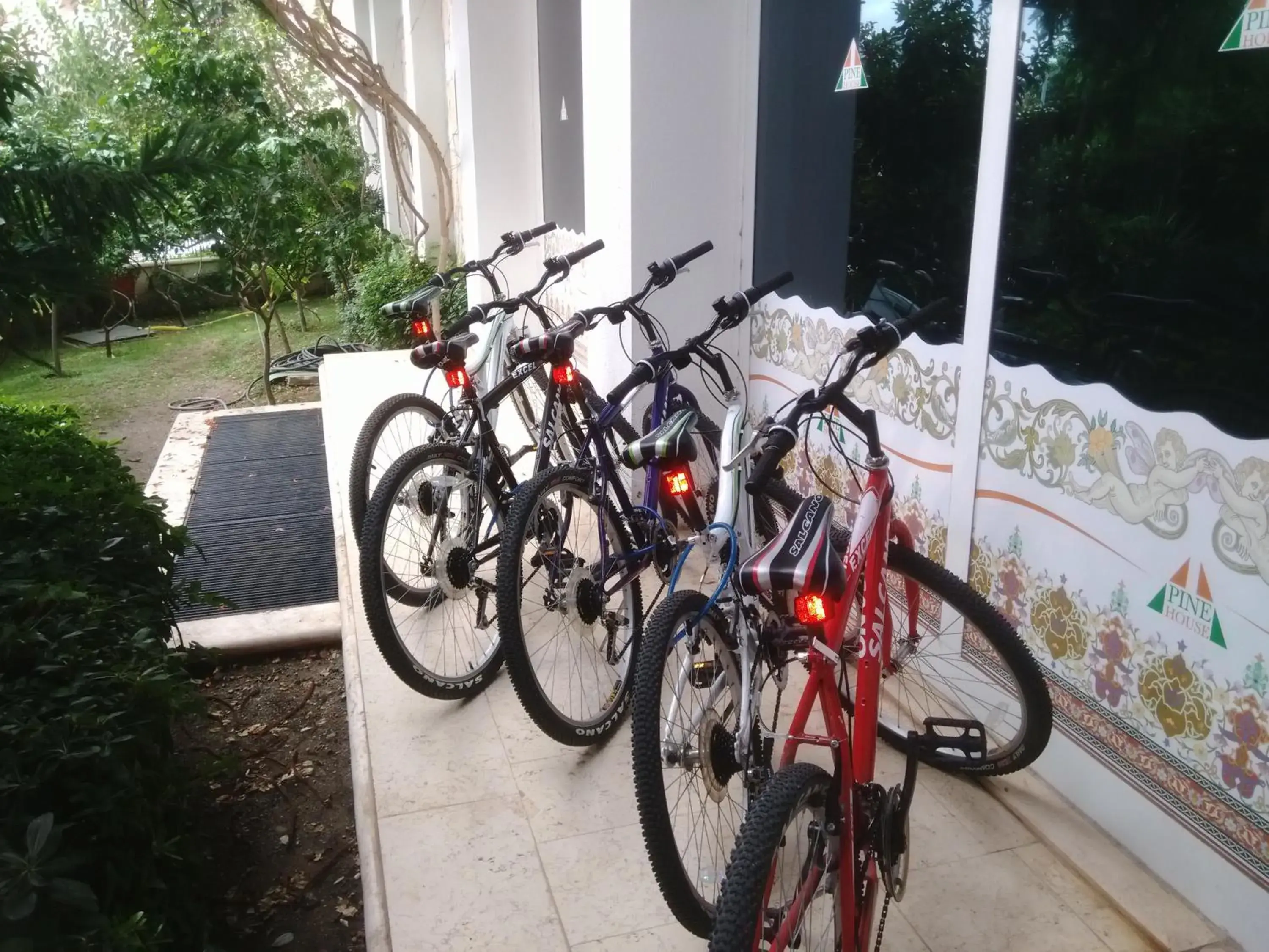 Cycling, Biking in Pine House by Werde Hotels