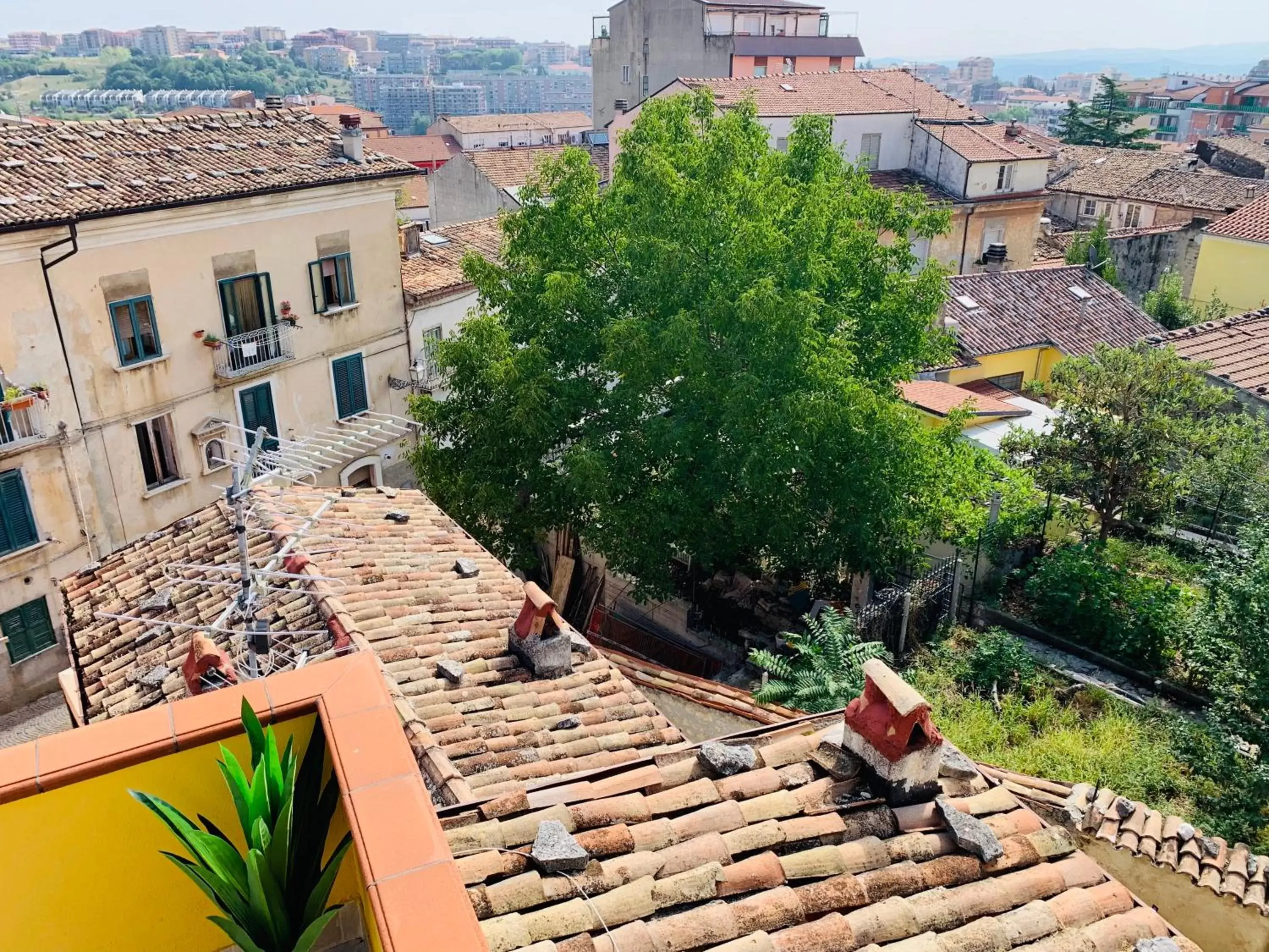 B&B Porta San Paolo