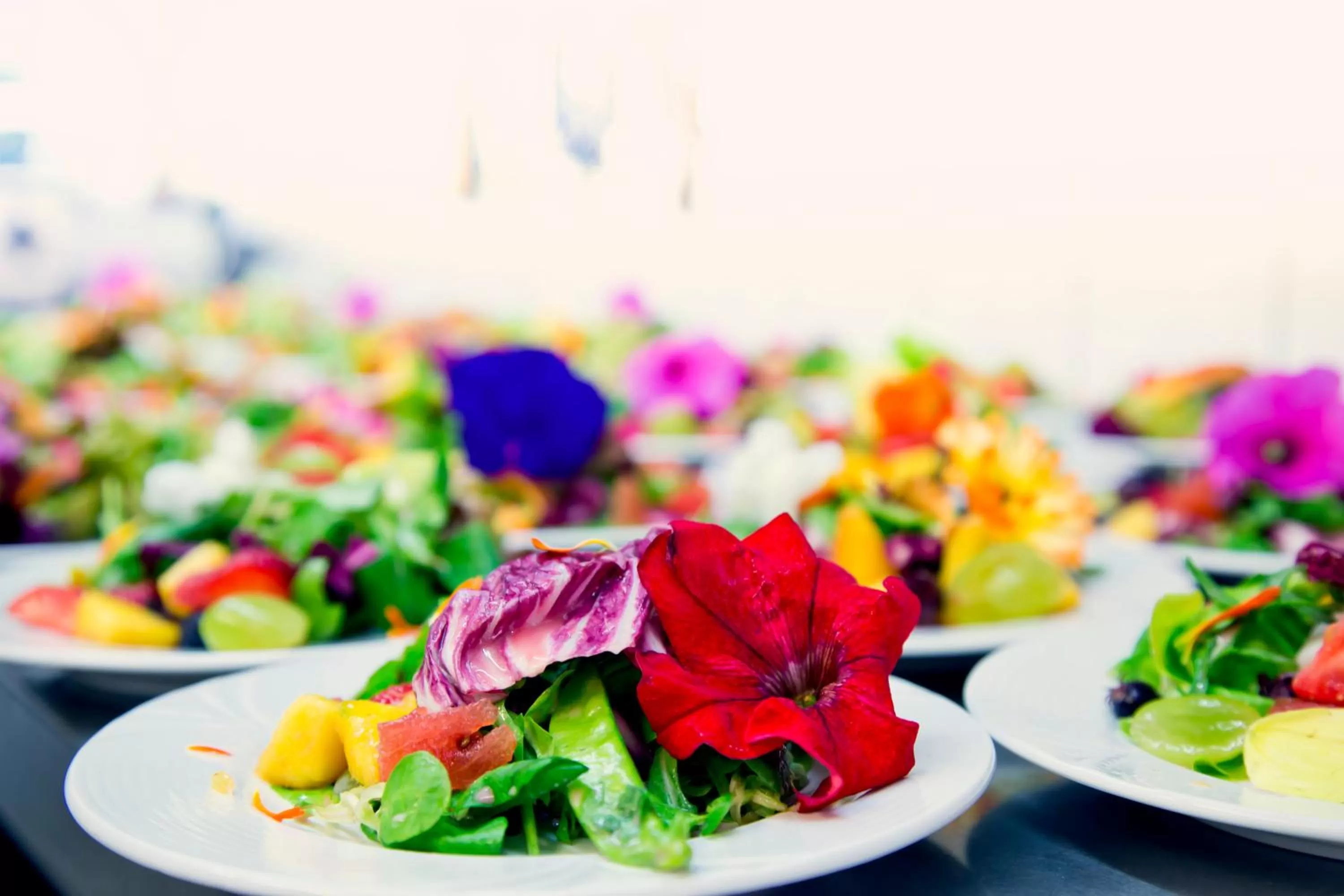 Food close-up in Im Wiesengrund