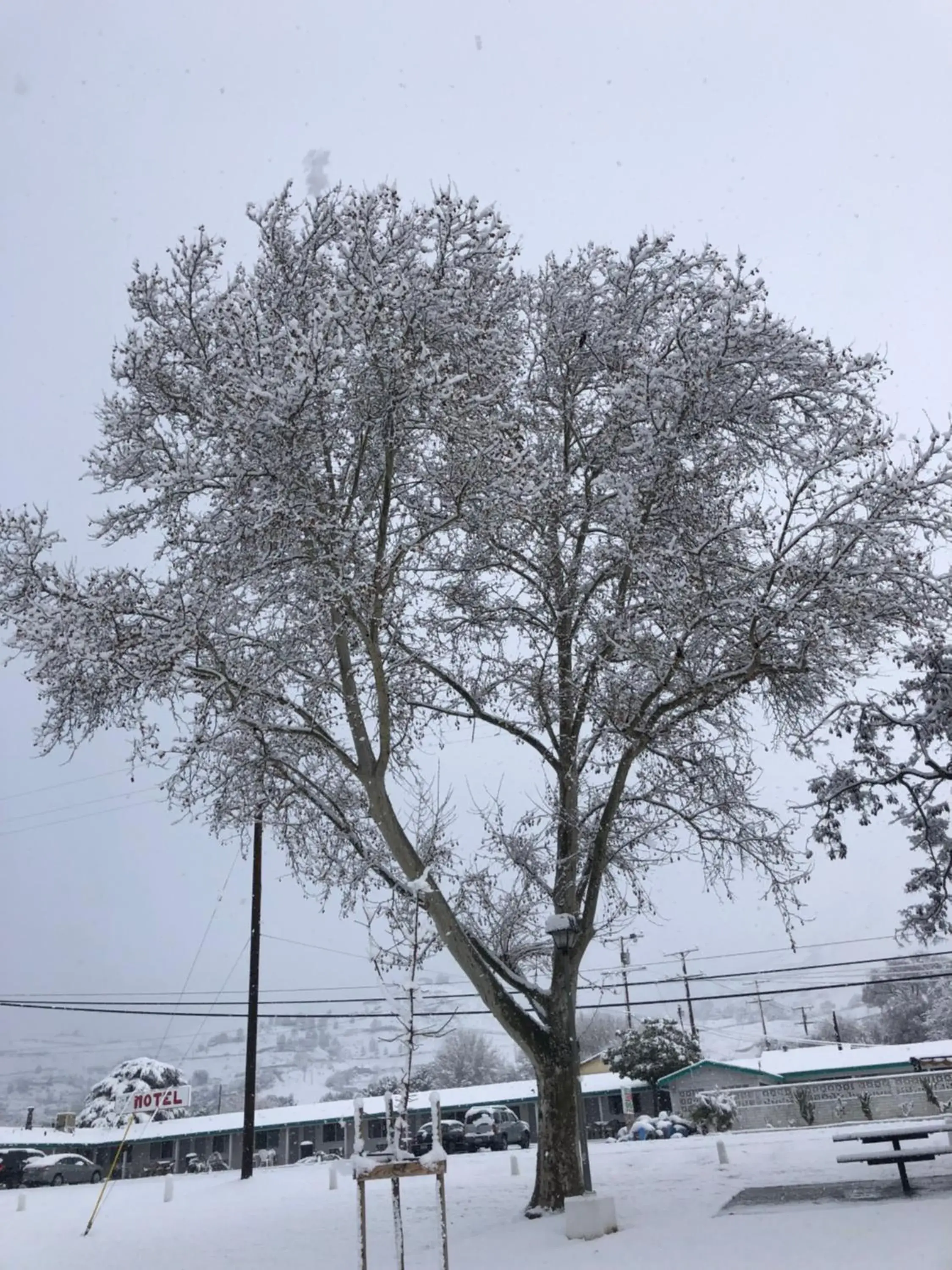 Winter in Mount-N-Lake Motel