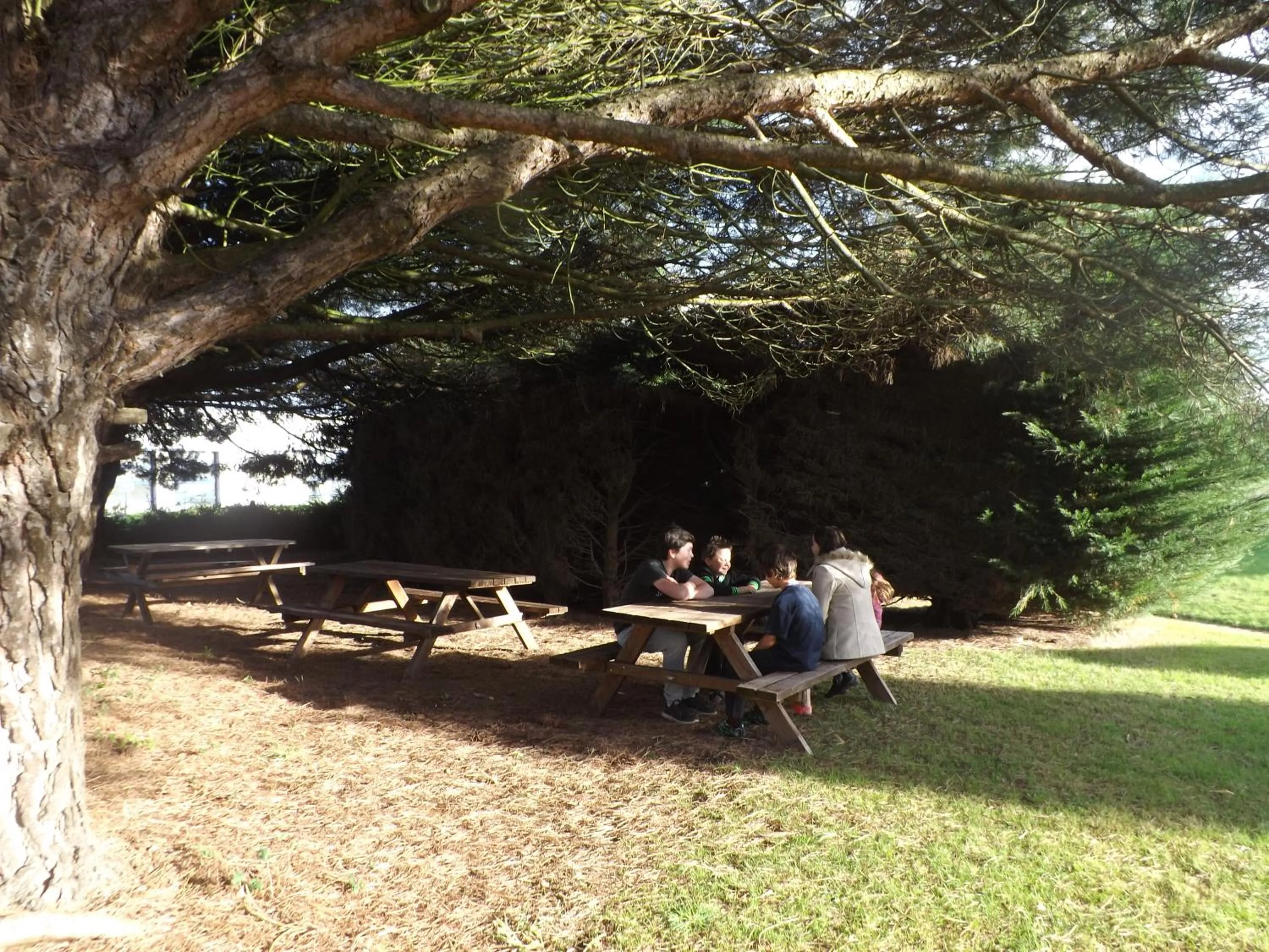 Garden in Hotel Le Cormier 9
