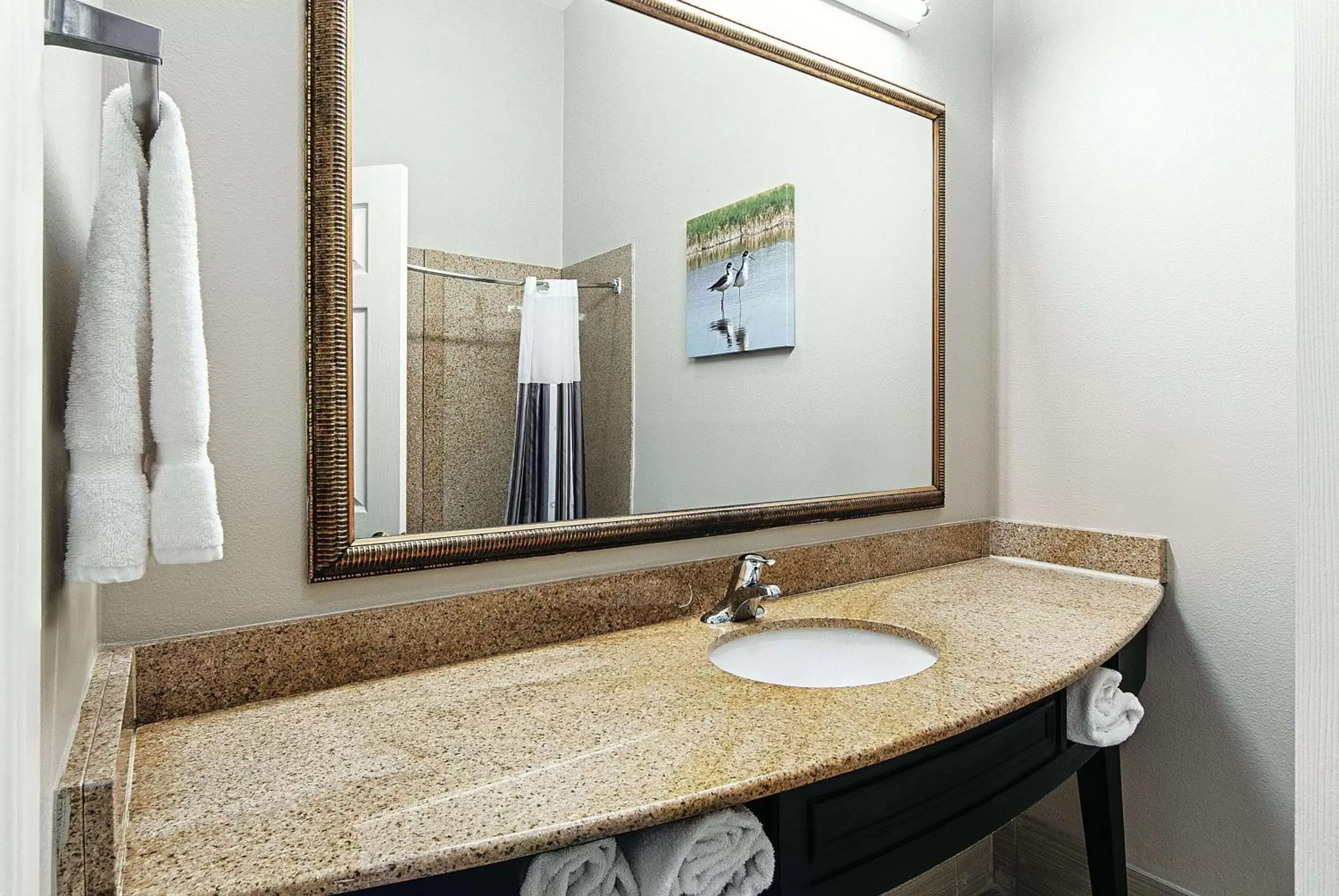 Bathroom in La Quinta by Wyndham Alamo-McAllen East