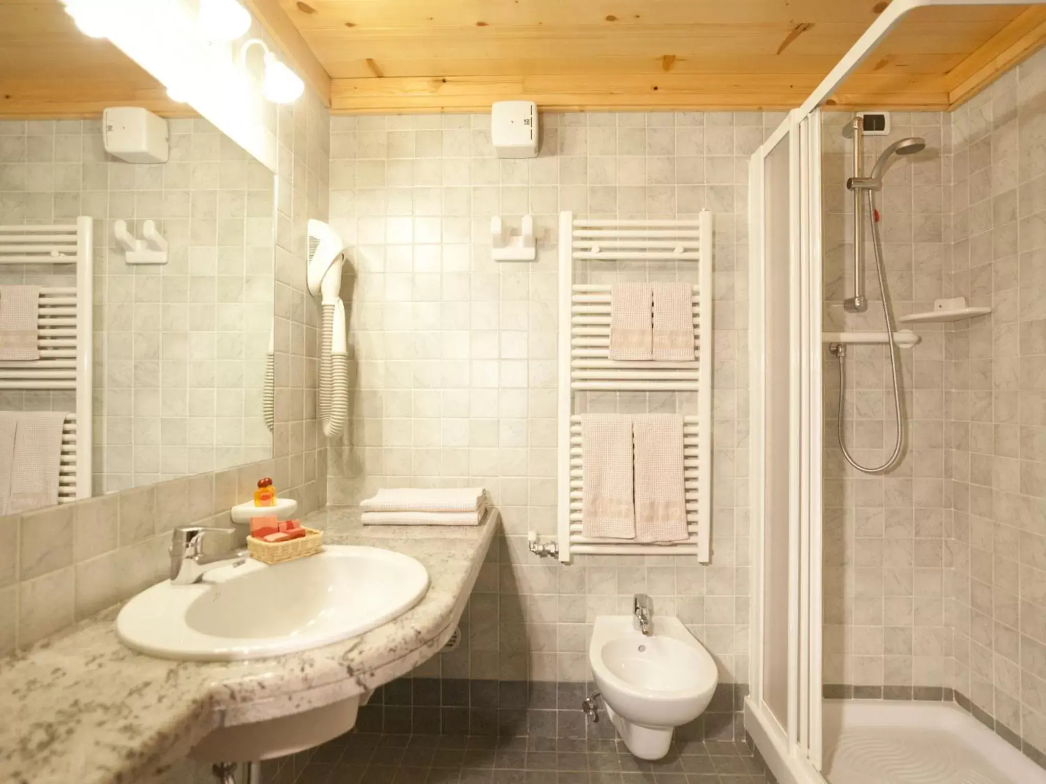 Shower, Bathroom in Hotel Europeo Alpine Charme & Wellness