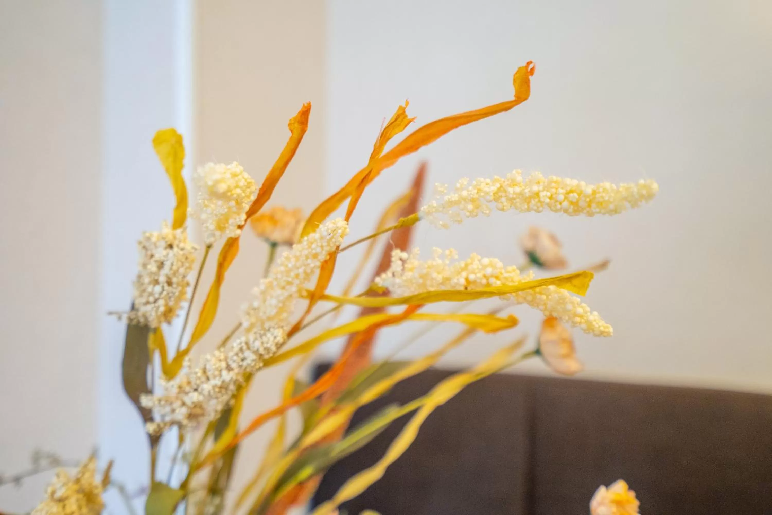 Floor plan in Dinya Lisbon Hotel