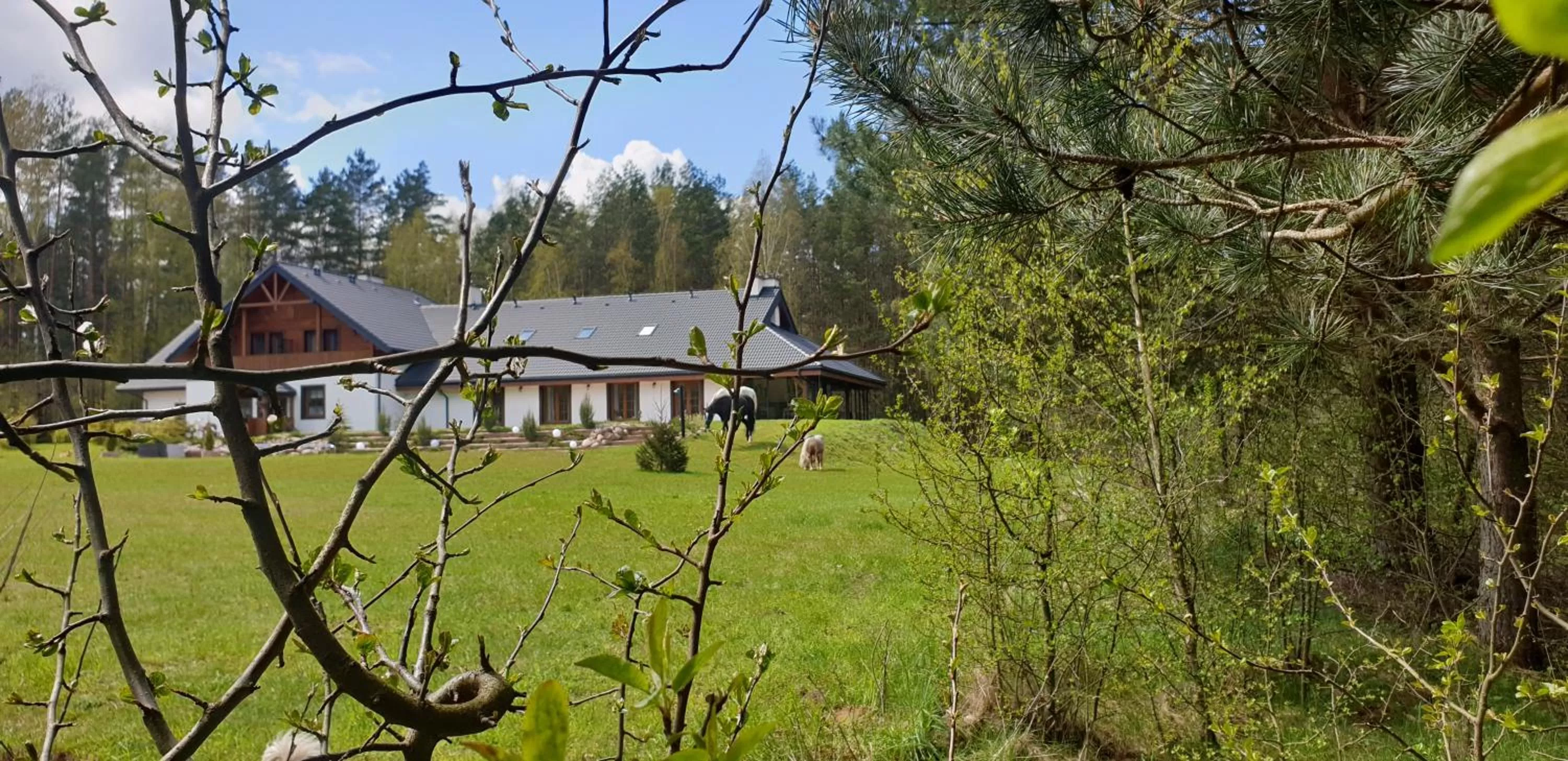 Property building in Majątek Morgi