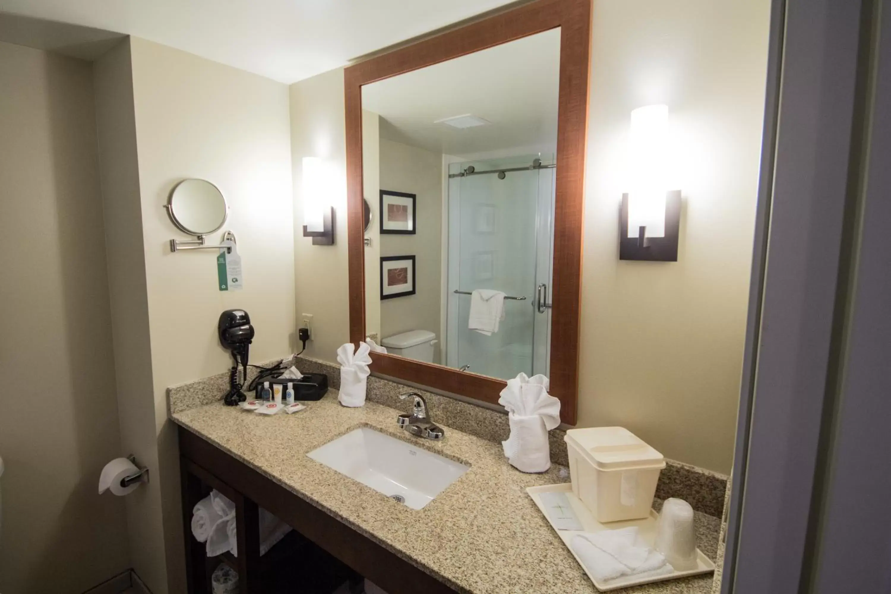 King Suite with Roll in Shower - Accessible/Non-Smoking in Comfort Suites near Rainbow Springs Dunnellon