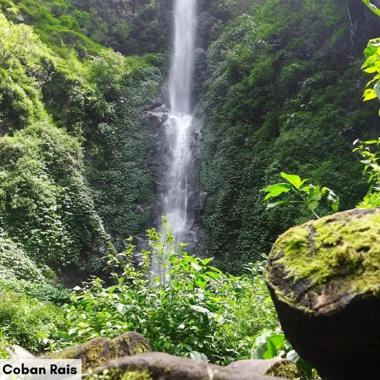 Natural Landscape in Swiss-Belinn Malang