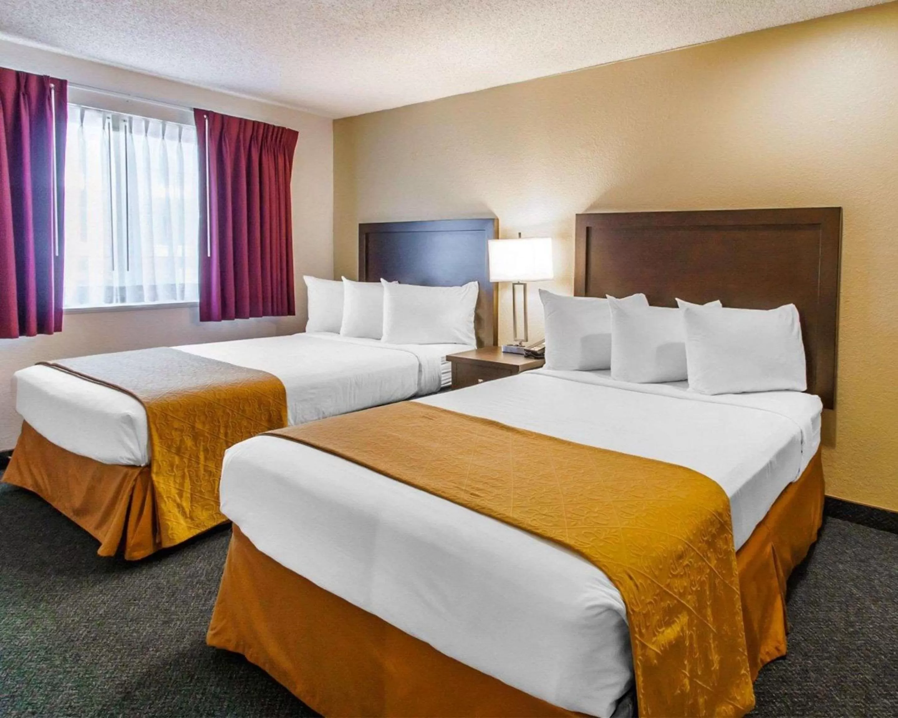 Photo of the whole room, Bed in Quality Inn & Suites Springfield - Eugene North