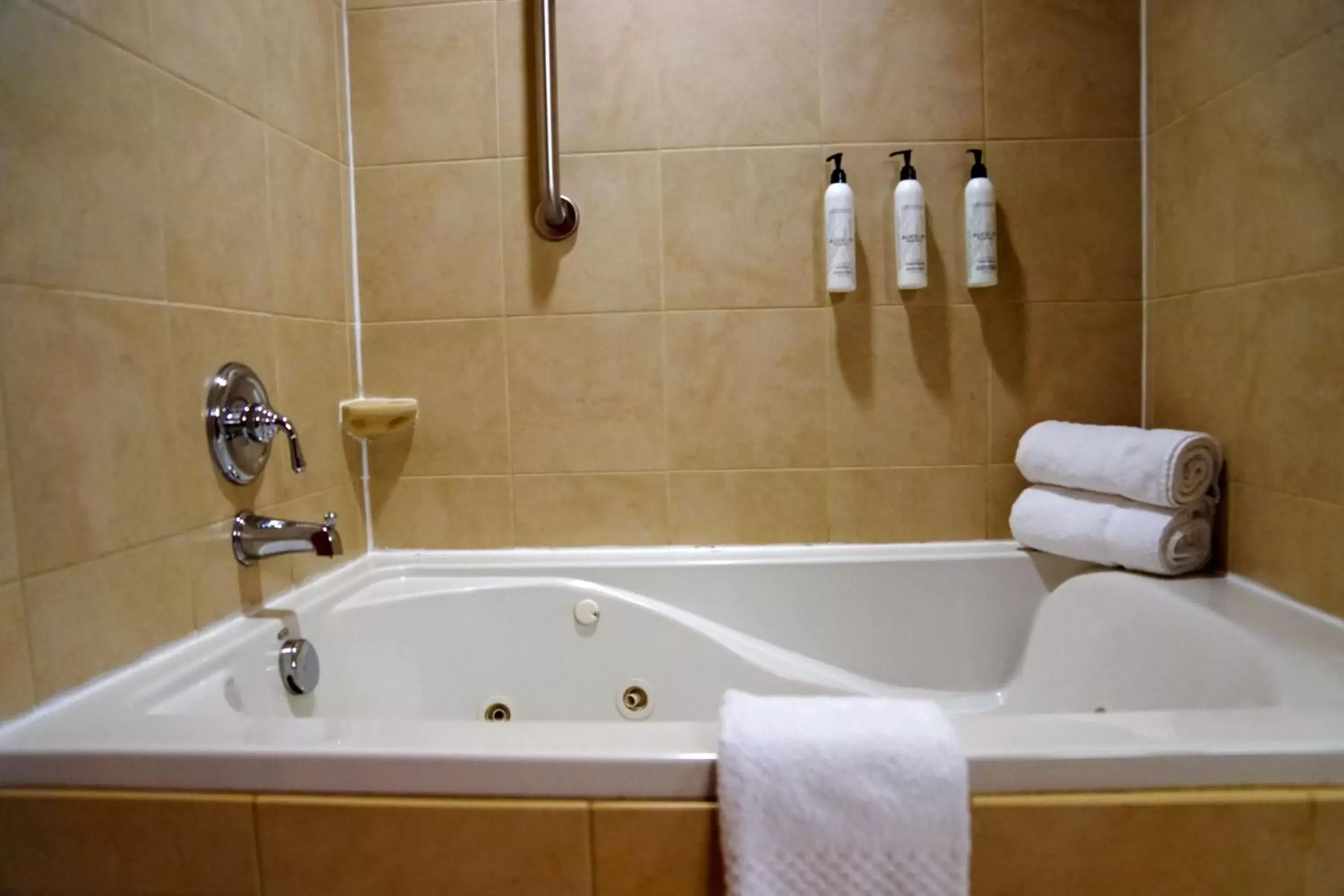 Photo of the whole room, Bathroom in Fairfield Inn & Suites by Marriott Denver Aurora/Parker