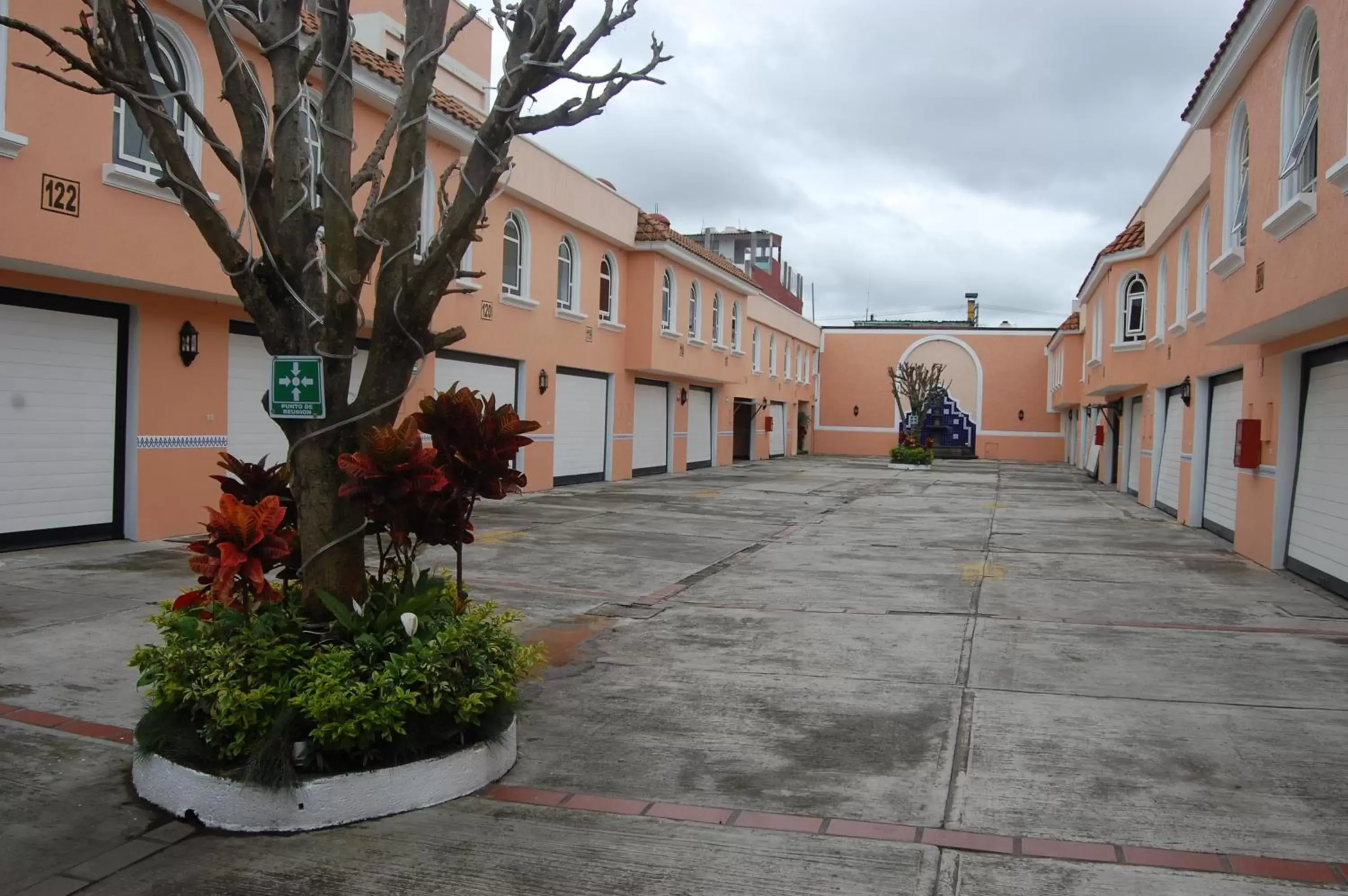 Garden, Property Building in Hotel Express Alejandría