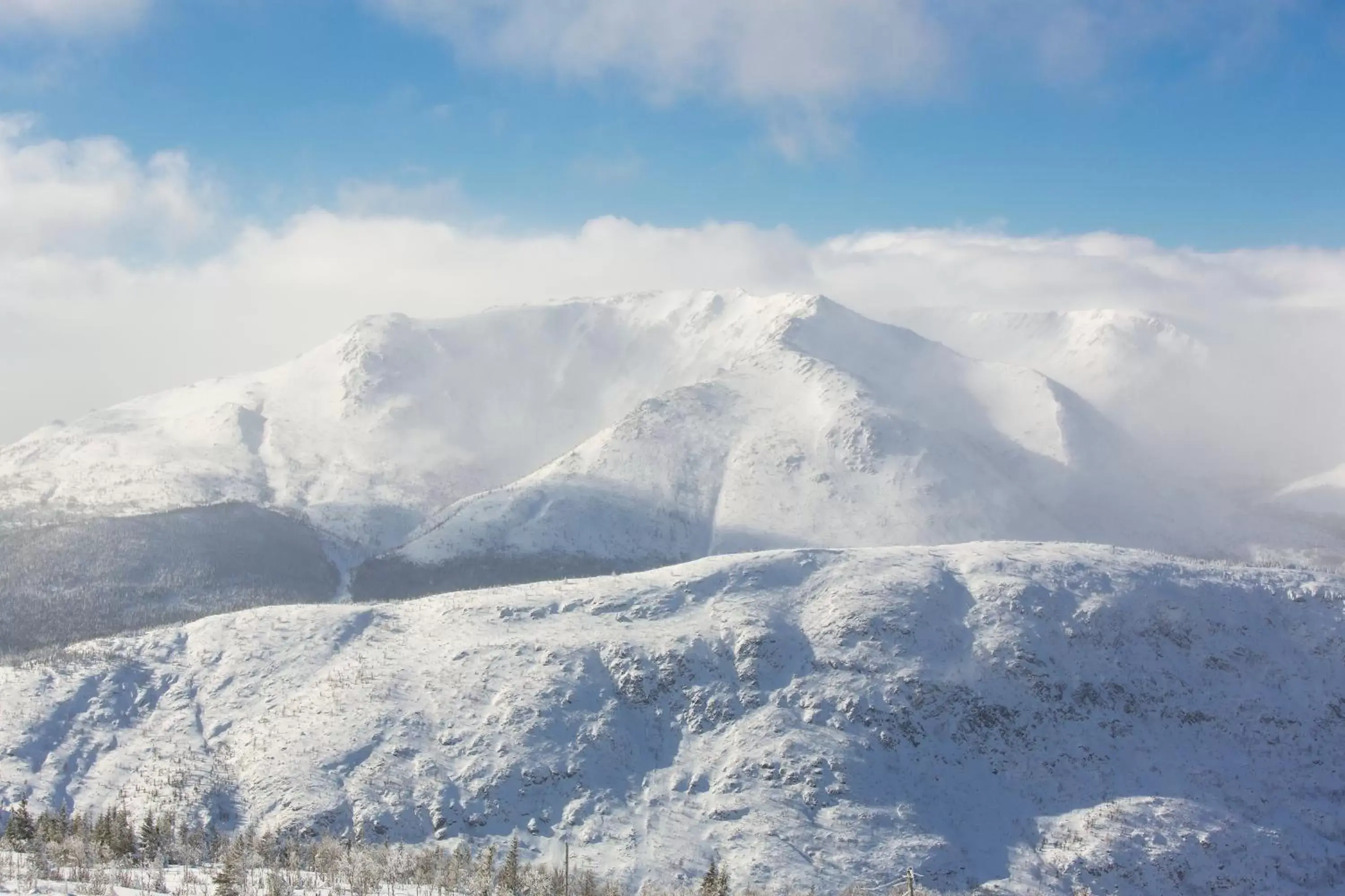 Natural landscape, Winter in Gîte du Mont-Albert - Sepaq
