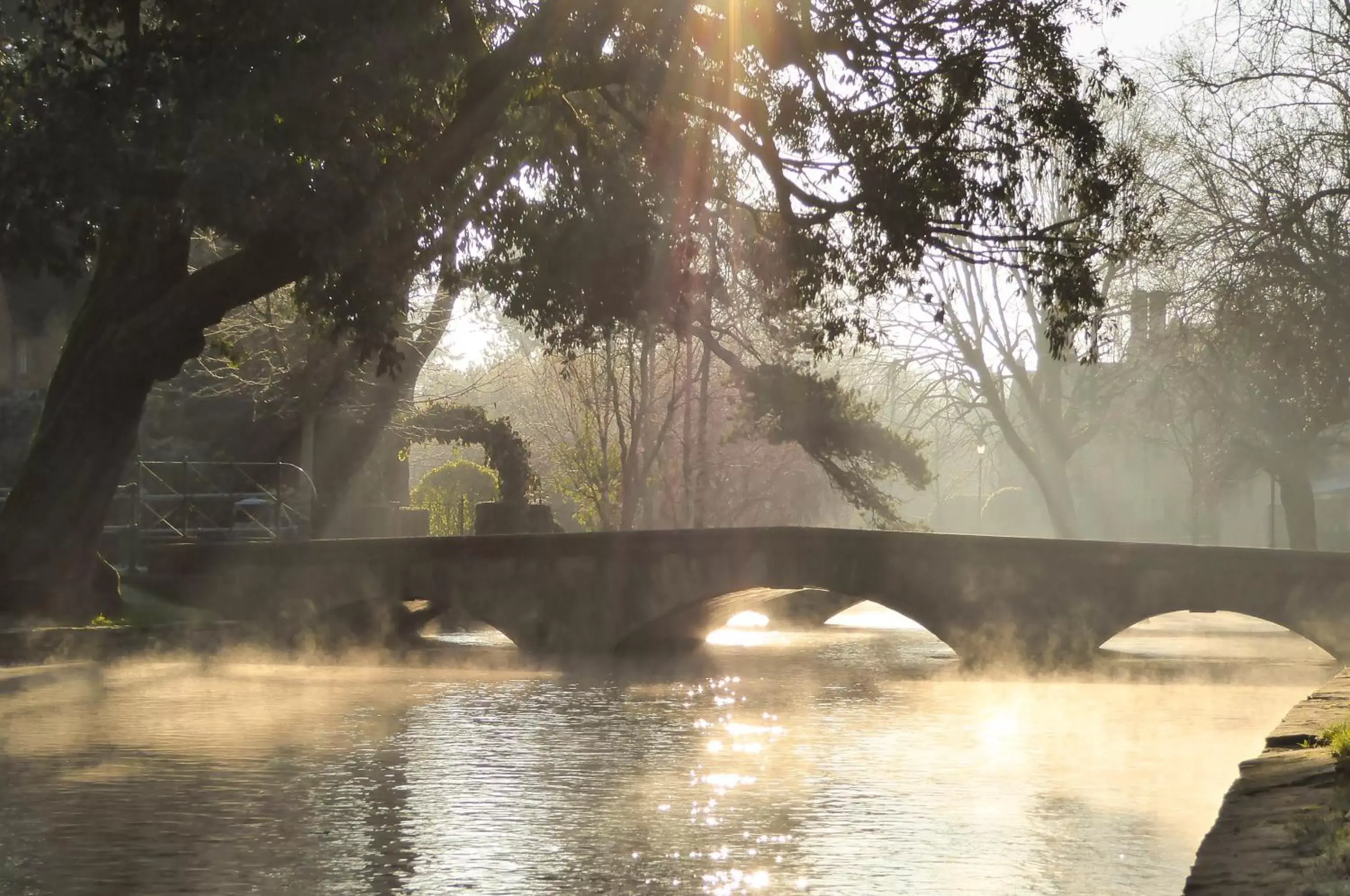 Natural landscape in The Lansdowne Guest House