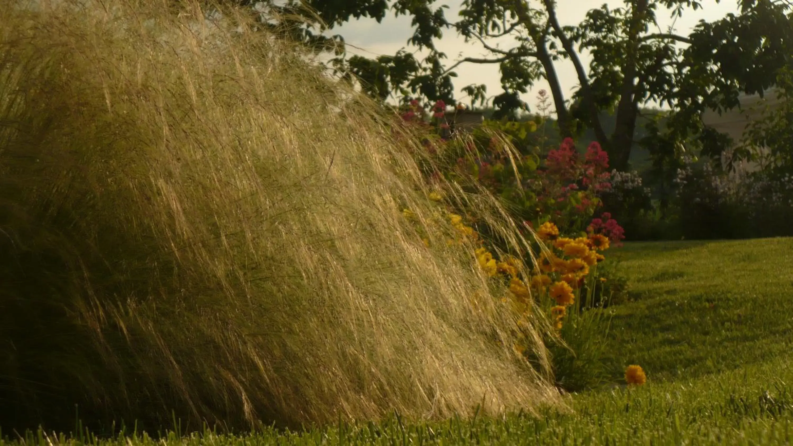 Garden, Natural Landscape in Florario B&B