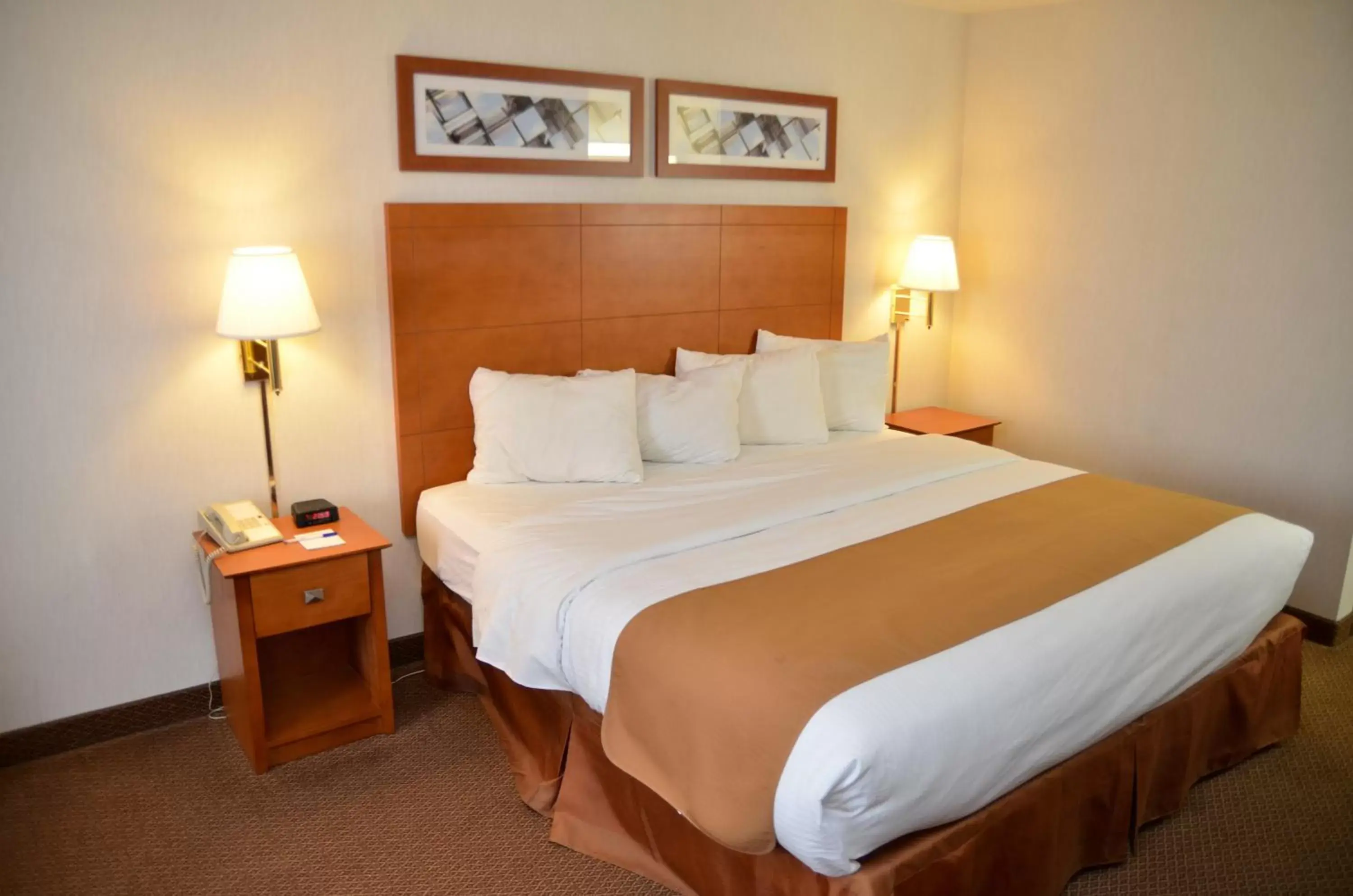 Bedroom, Bed in Baymont by Wyndham Port Huron Bedroom, Bed in Baymont by Wyndham Port Huron