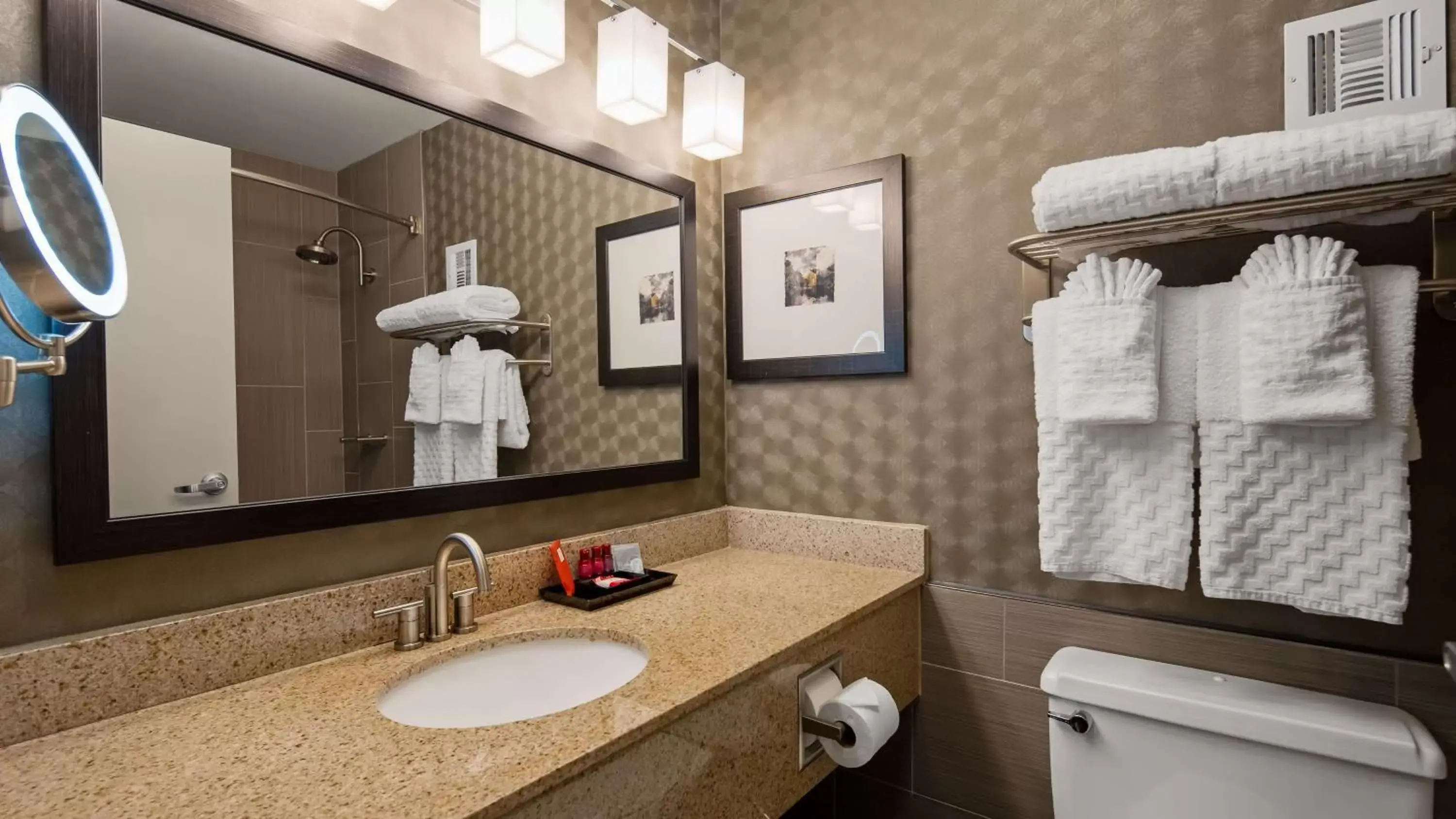 Queen Room with Roll-In Shower - Disability Access in Best Western Premier Airport/Expo Center Hotel Queen Room with Roll-In Shower - Disability Access in Best Western Premier Airport/Expo Center Hotel