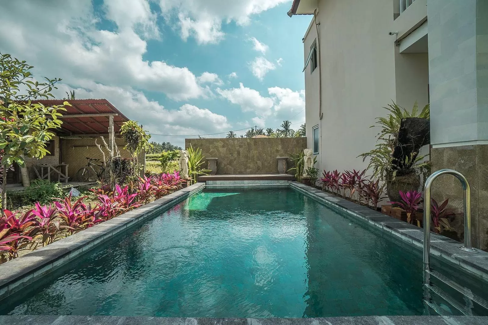 Swimming pool in Putih DCarik Ubud