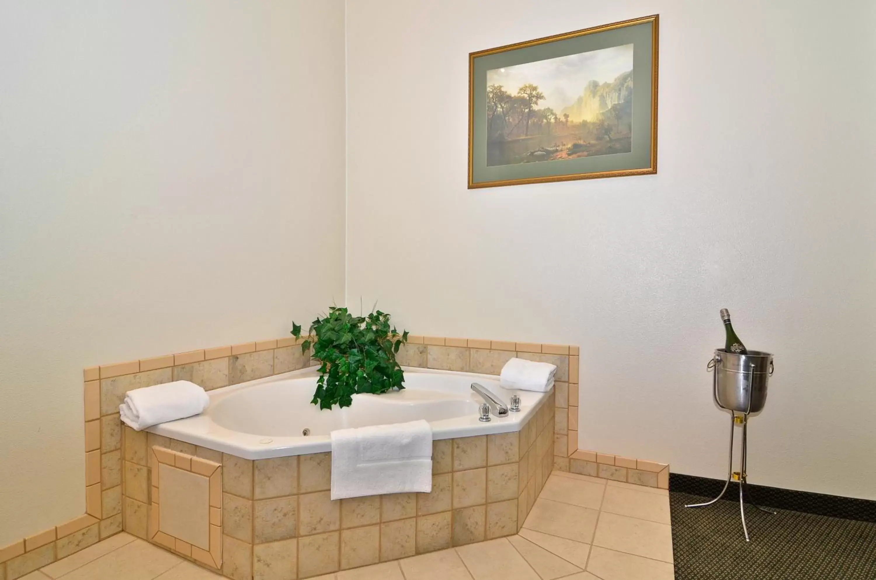 Decorative detail, Bathroom in Best Western Topaz Lake Inn