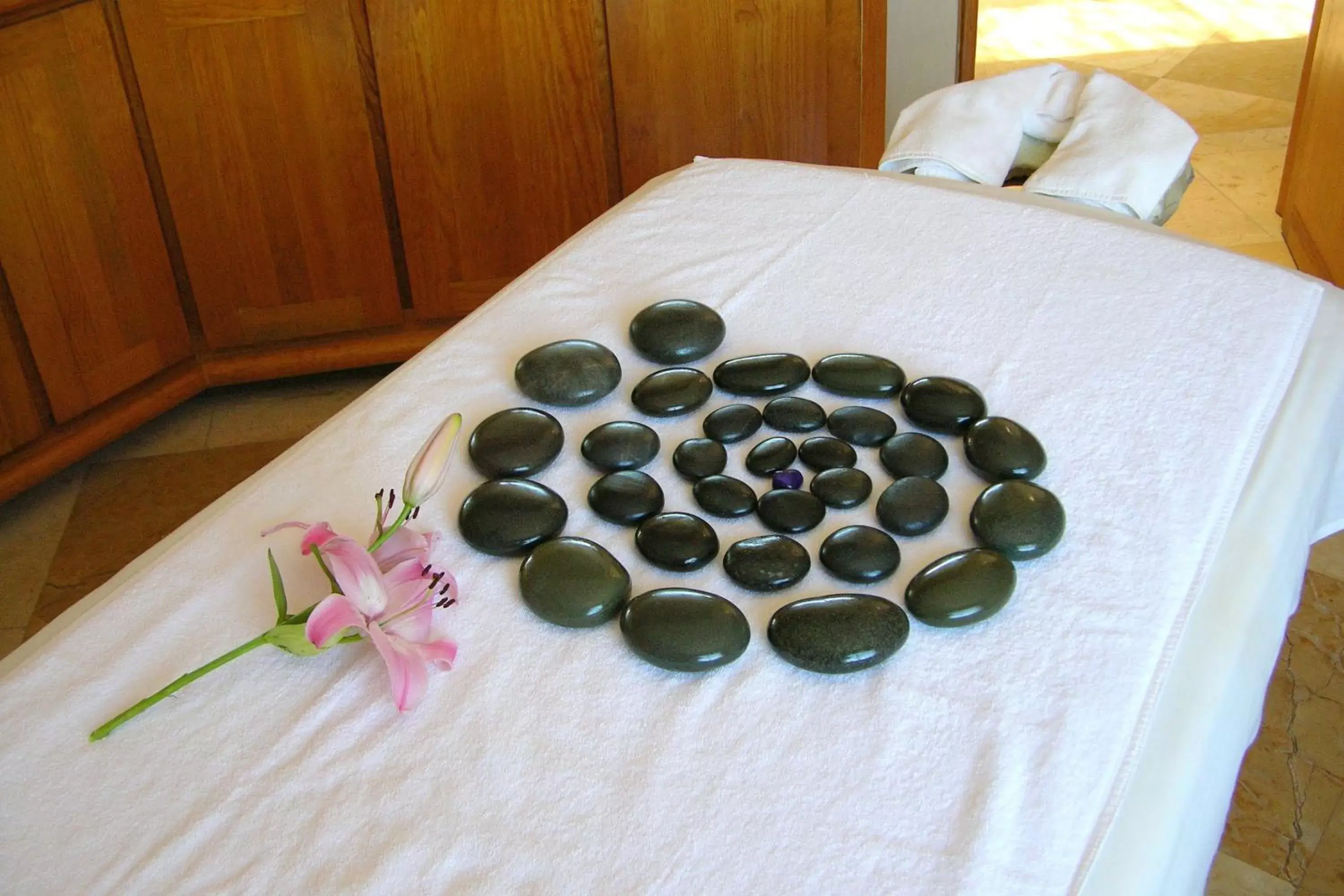 Spa and wellness centre/facilities in Hotel Rancho San Diego Grand Spa Resort