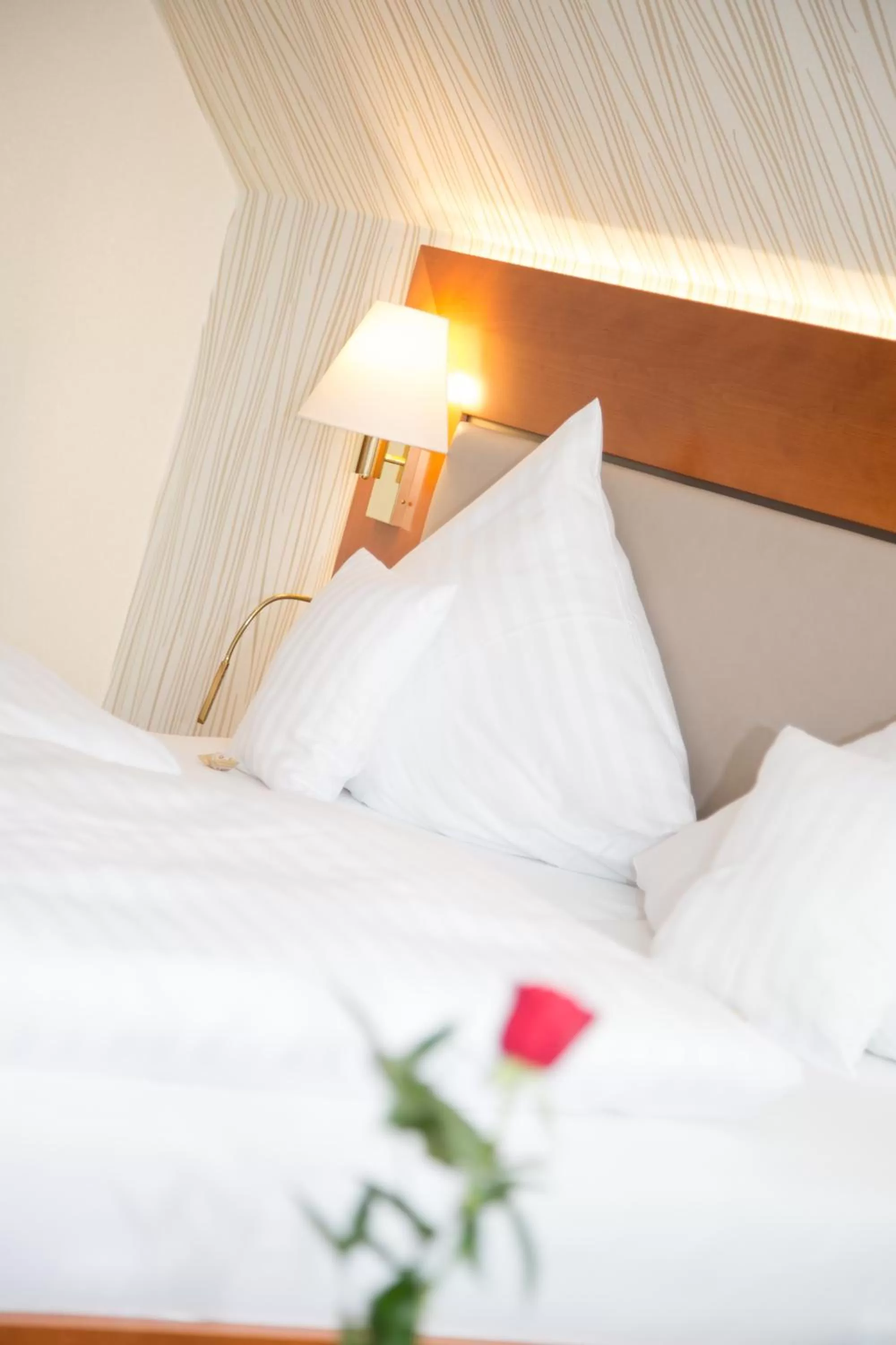 Bed in Ringhotel Teutoburger Wald