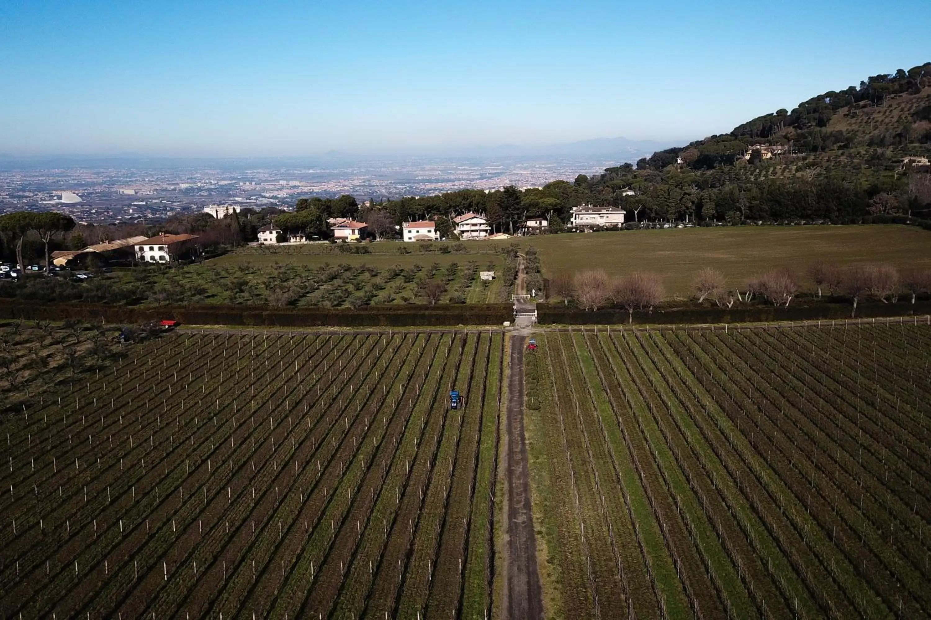 View (from property/room) in Villa Cavalletti Appartamenti