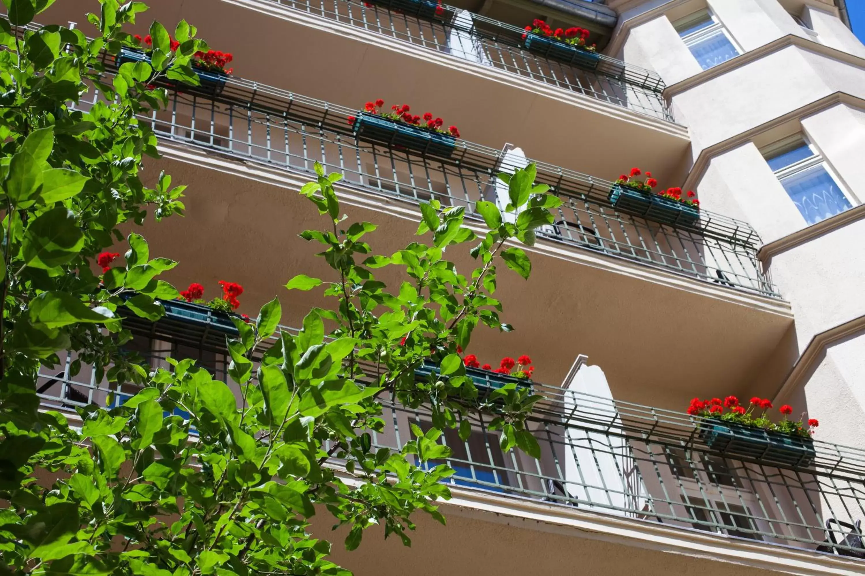 Balcony/Terrace in Hotel & Apartments Zarenhof Berlin Prenzlauer Berg