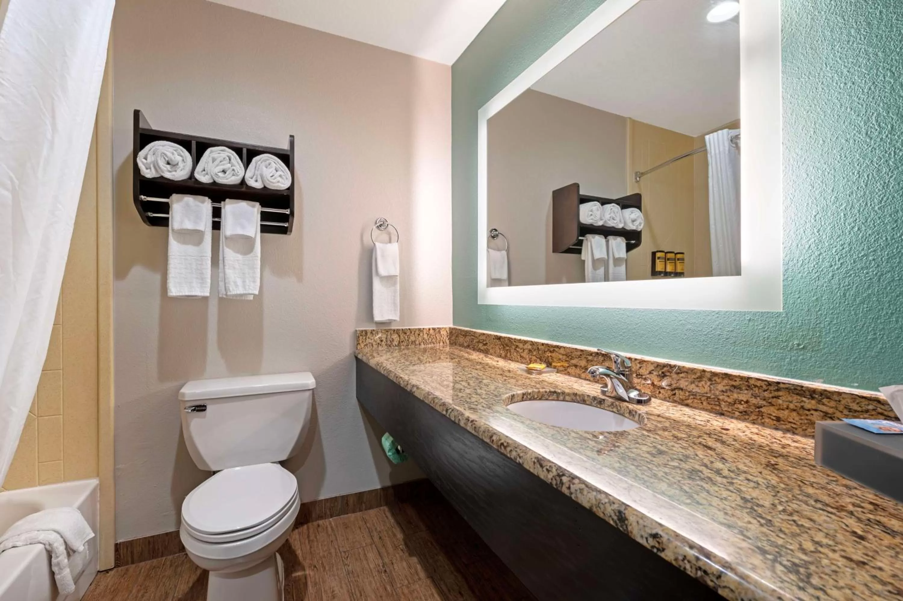 Bathroom in Best Western Plus Greenwood Indy South Inn