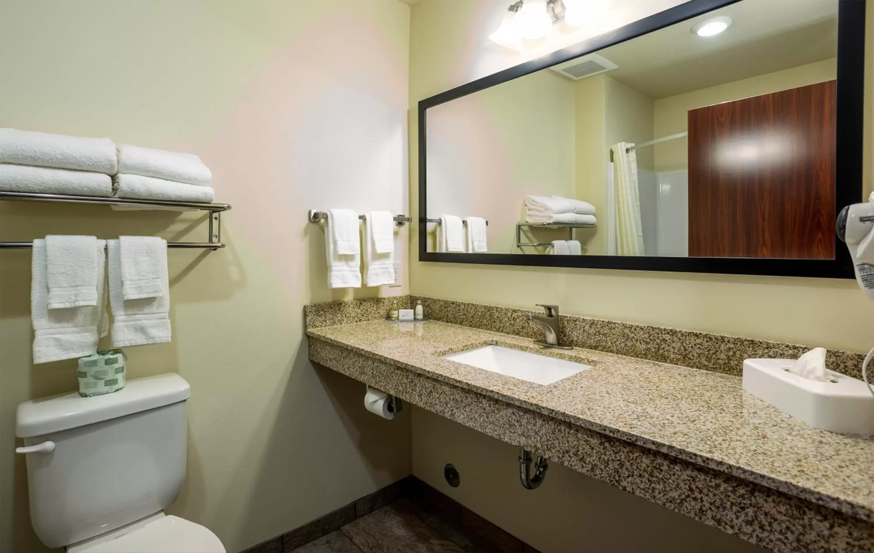 Toilet, Bathroom in Cobblestone Inn & Suites - Brookville