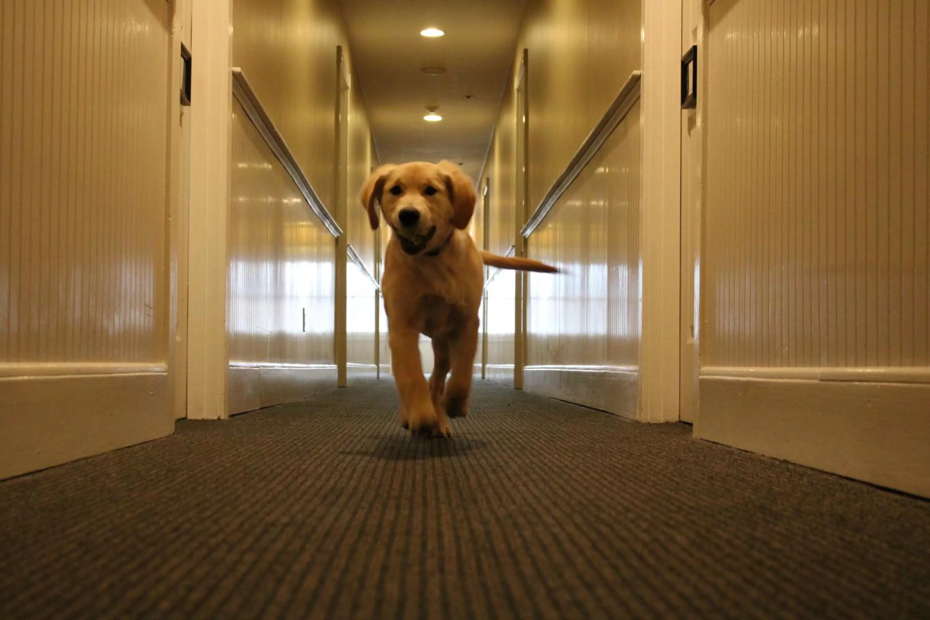 Property building in Pilgrim House