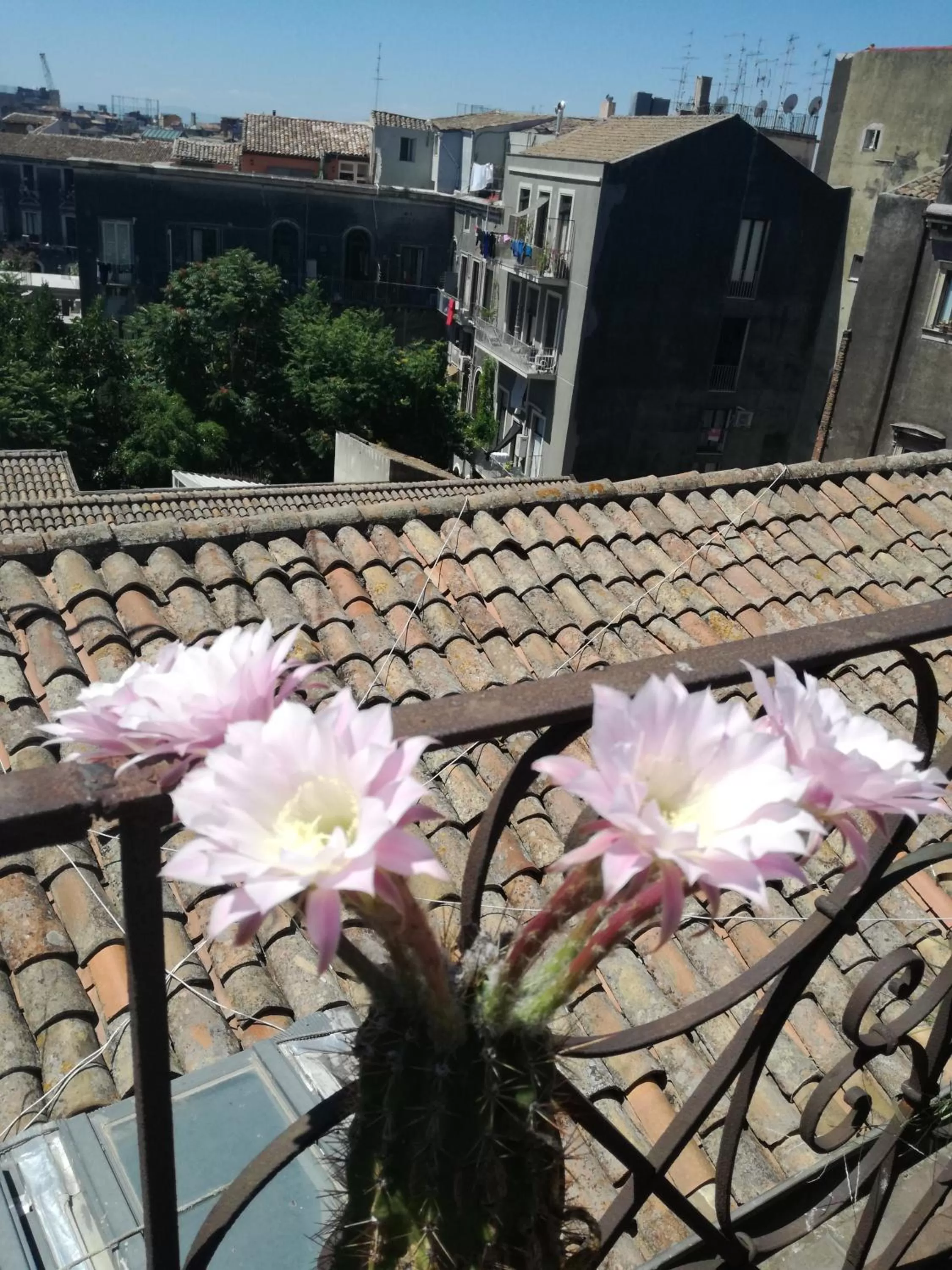 Day in Hotel Biscari