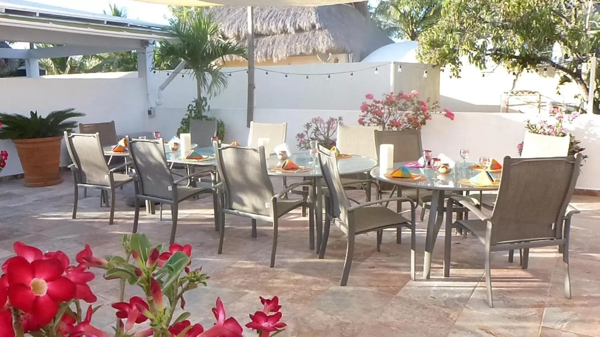 Balcony/Terrace, Restaurant/Places to Eat in Hotelito Los Sueños