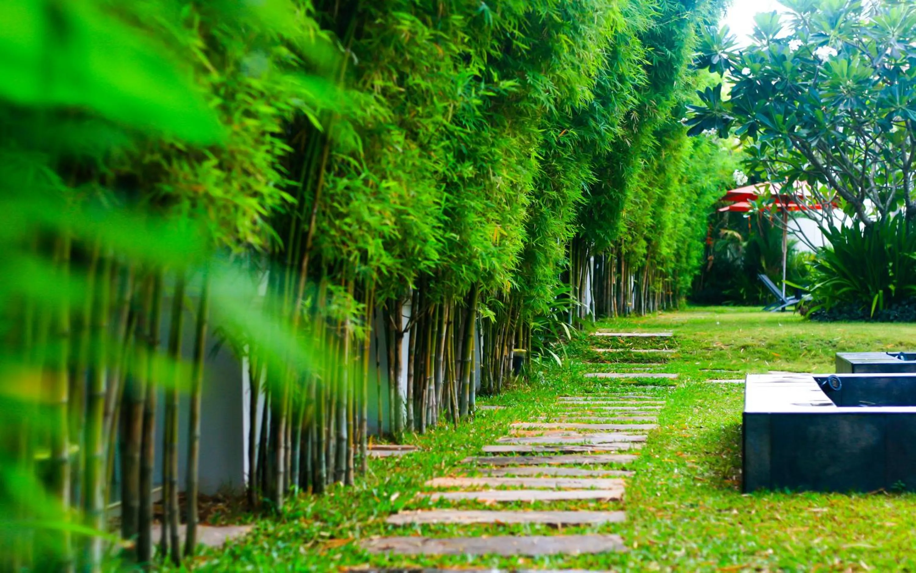 Day in Palm Grove Resort, Pattaya