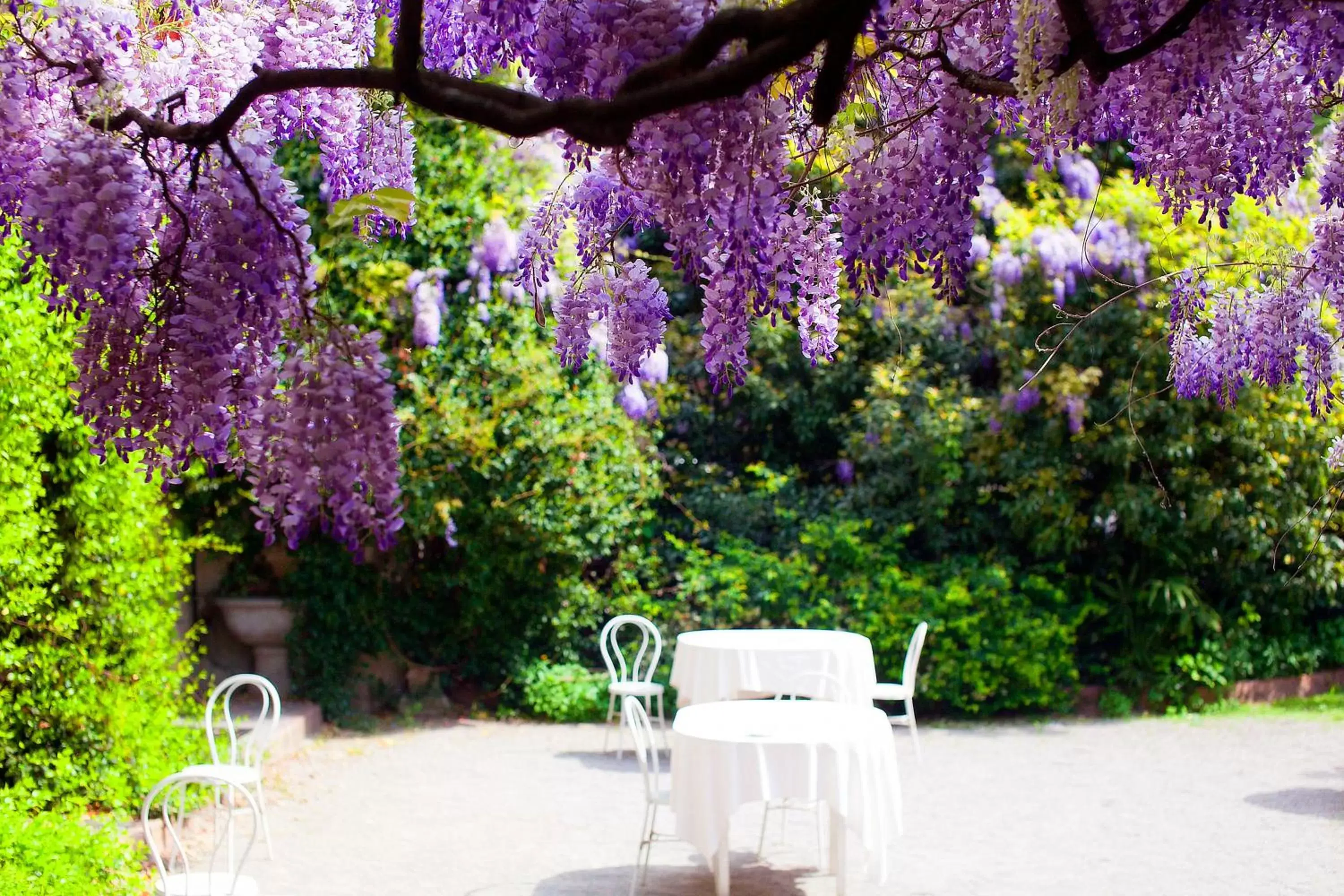 Albergo Ristorante Madonnina