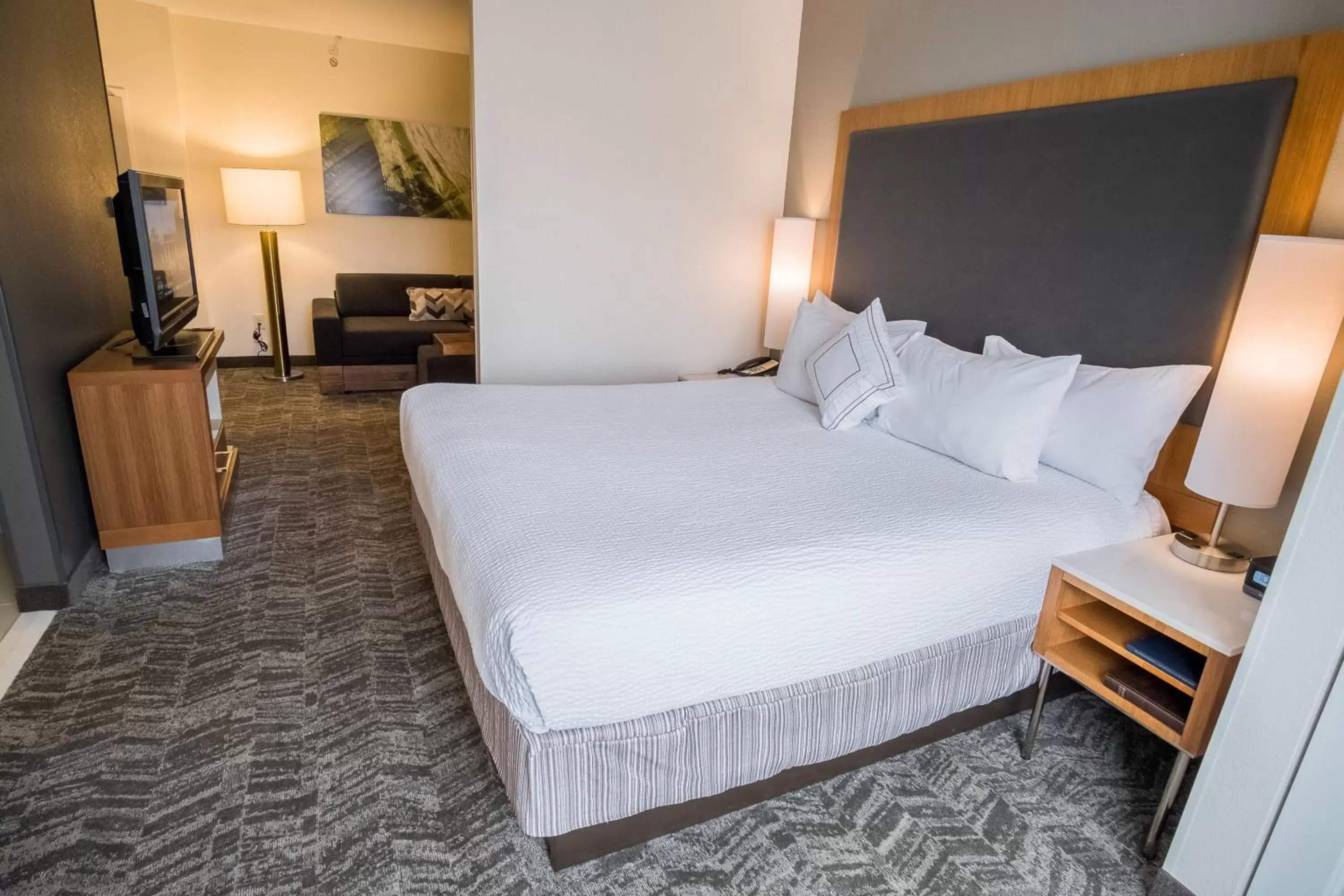 Photo of the whole room, Bed in SpringHill Suites by Marriott Winston-Salem Hanes Mall