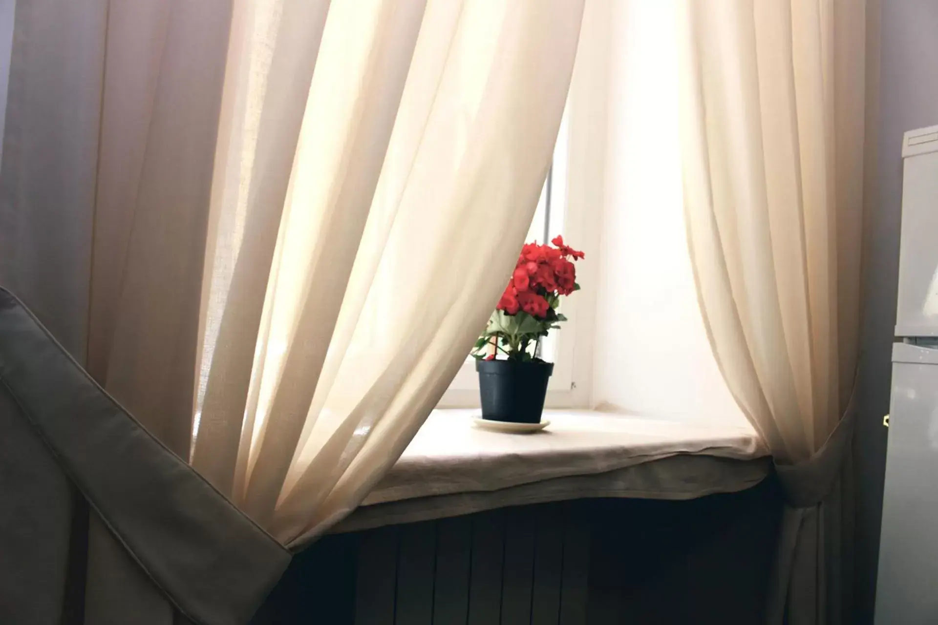 Lobby or reception in Hotel Esperanza Lobby or reception in Hotel Esperanza