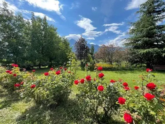 Garden in La Vigna