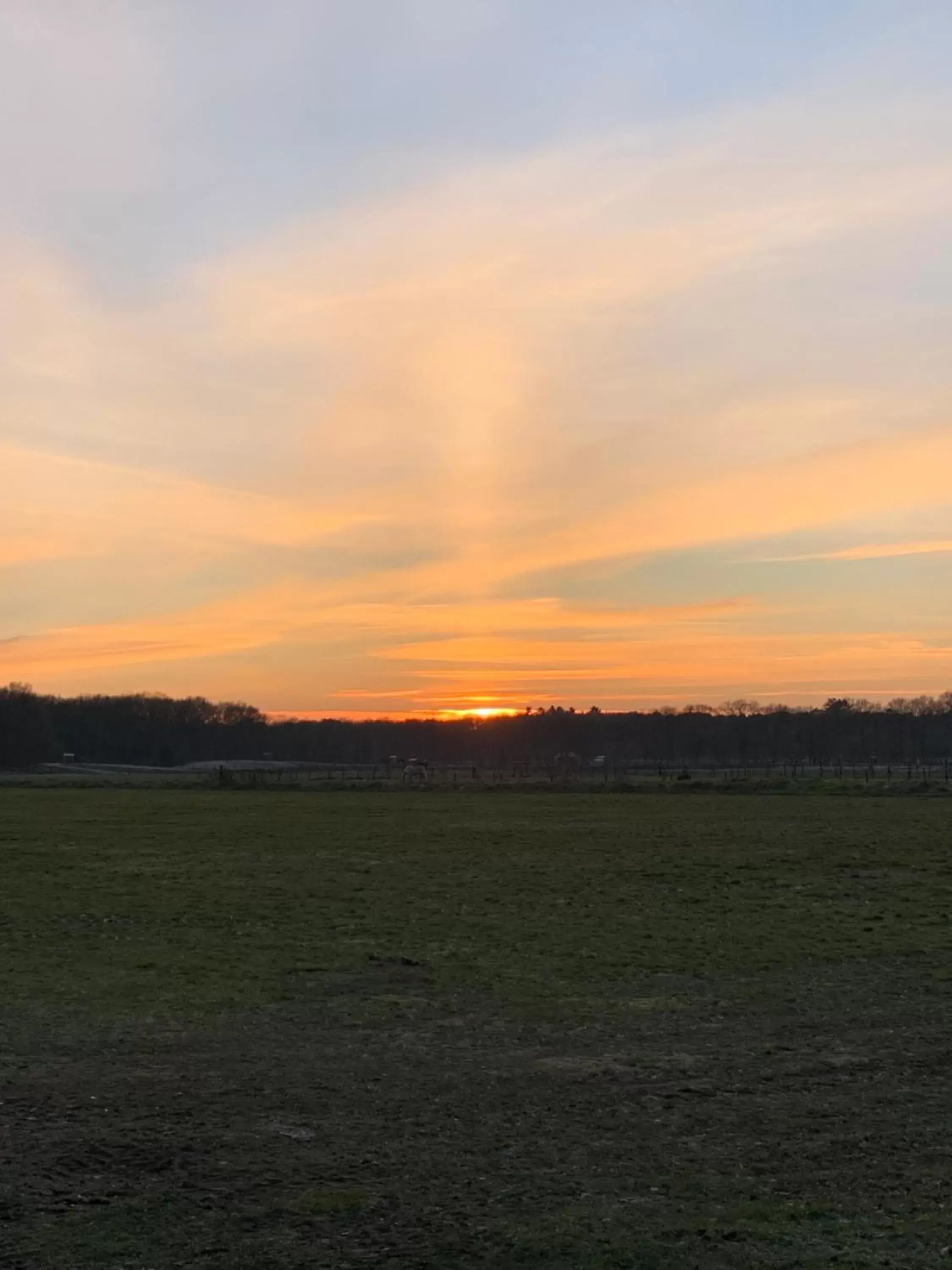 Sunset in Duynparc Soest