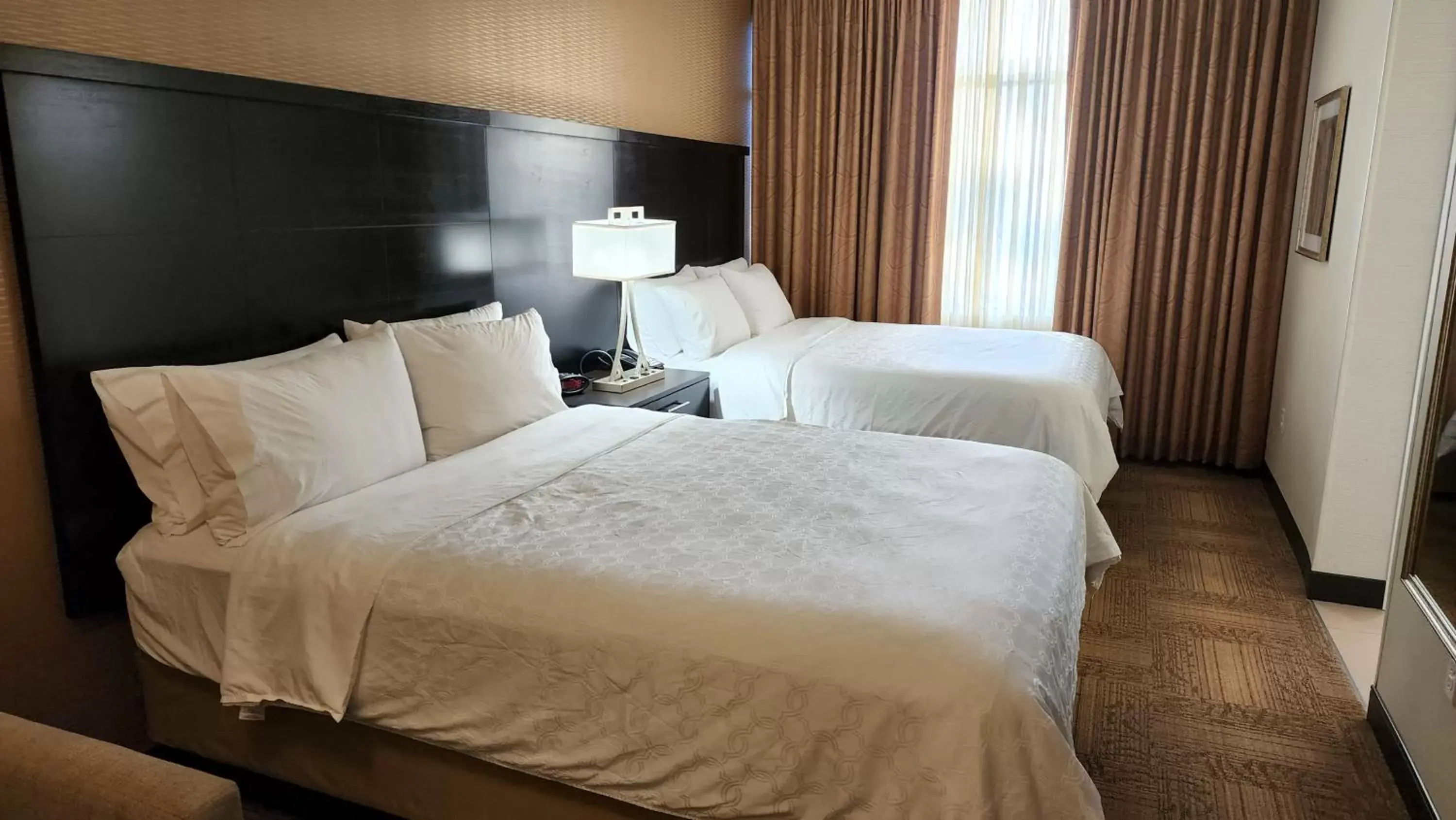Photo of the whole room, Bed in Staybridge Suites Denver Downtown, an IHG Hotel